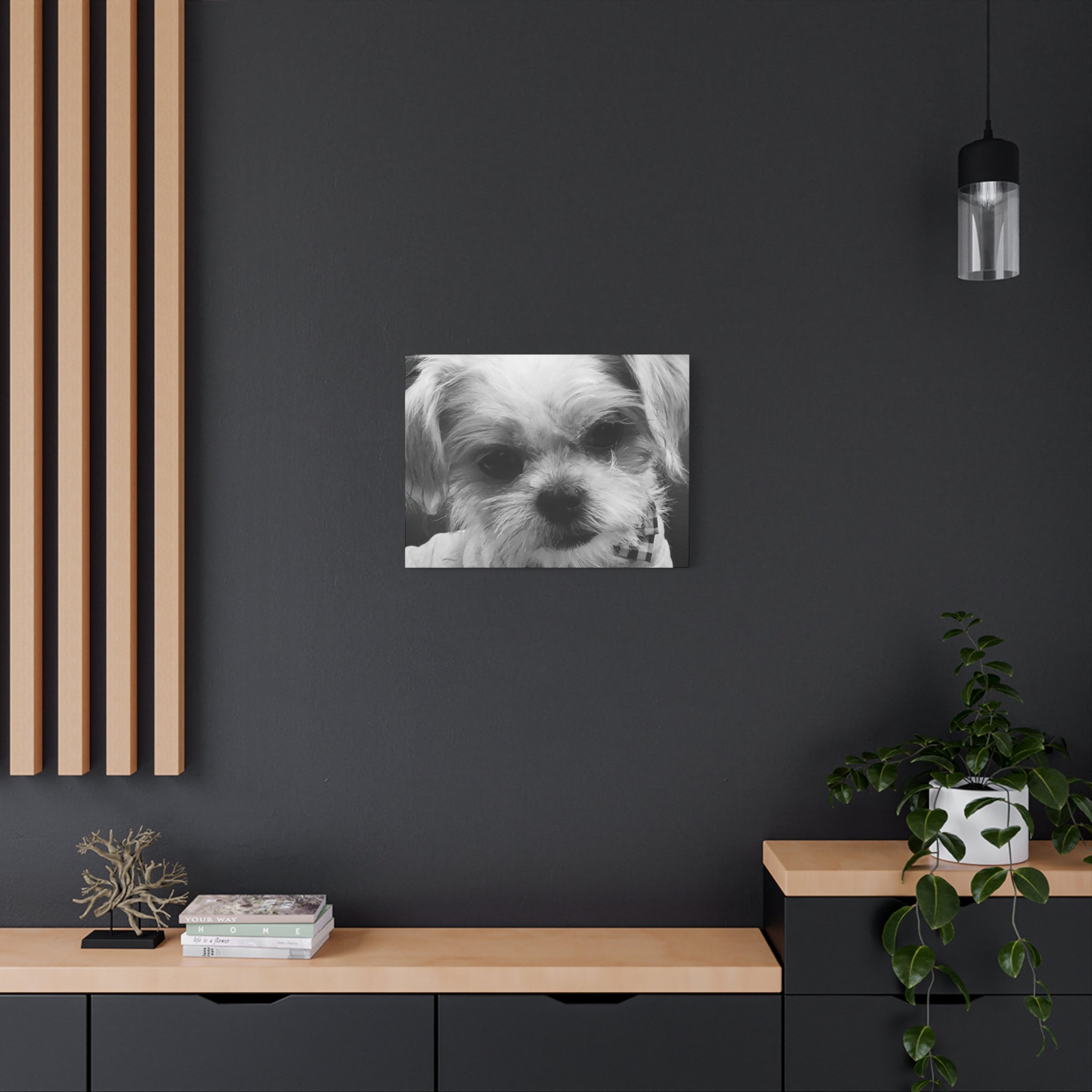 Black and White Dog Portrait Canvas Wall Art
