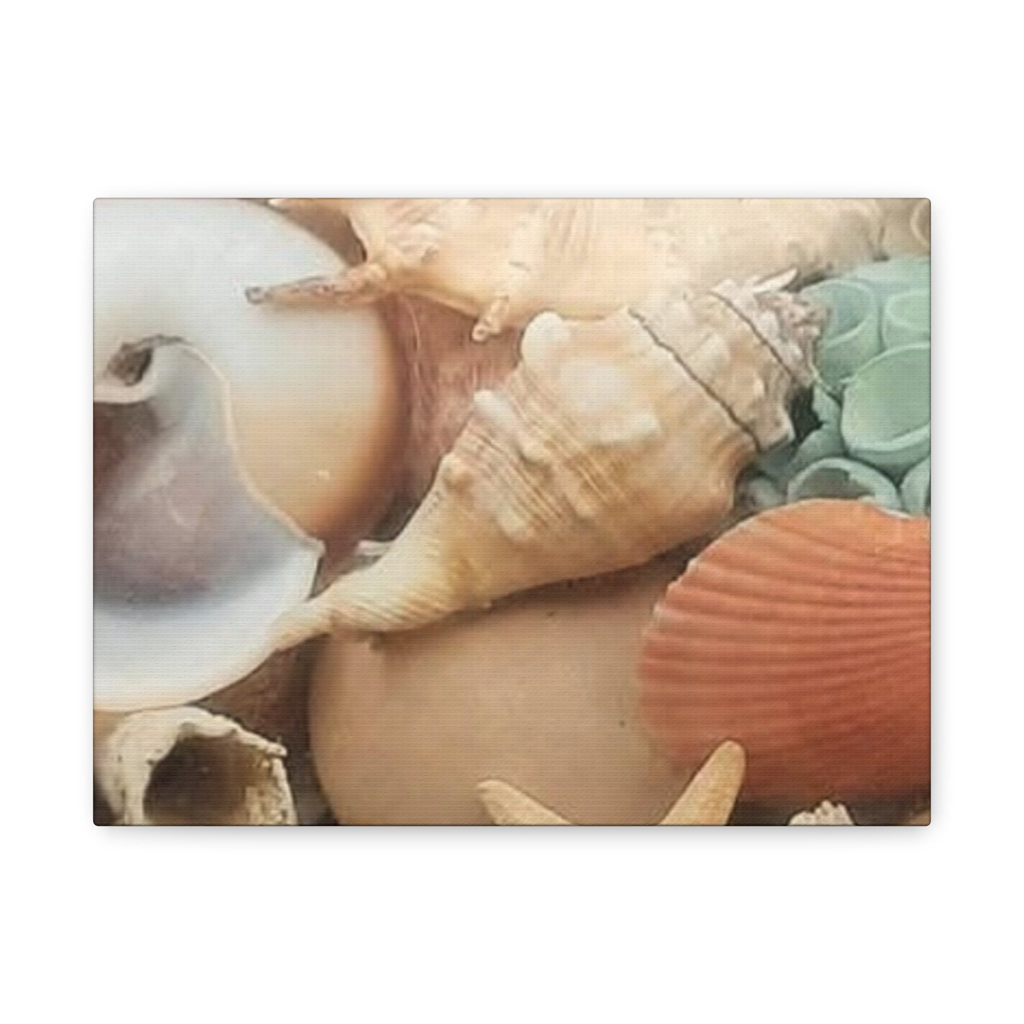 Seashells Beach Canvas Wall Art – Matte Stretched 1.25"