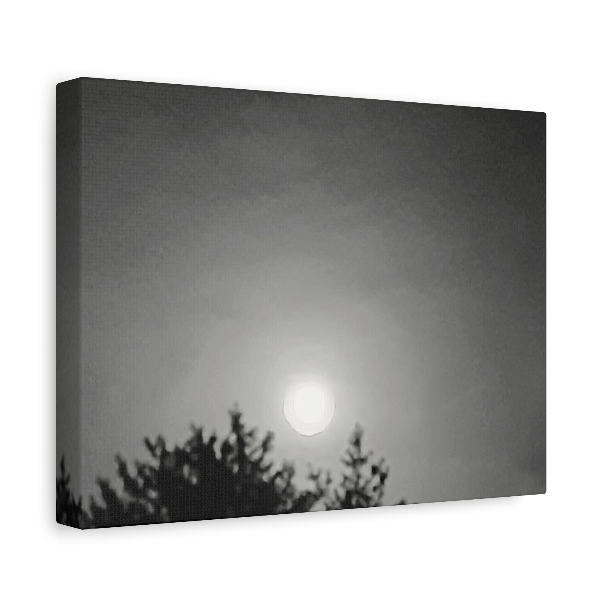 Moonlit Sky Canvas Wall Art — Black & White Night Landscape