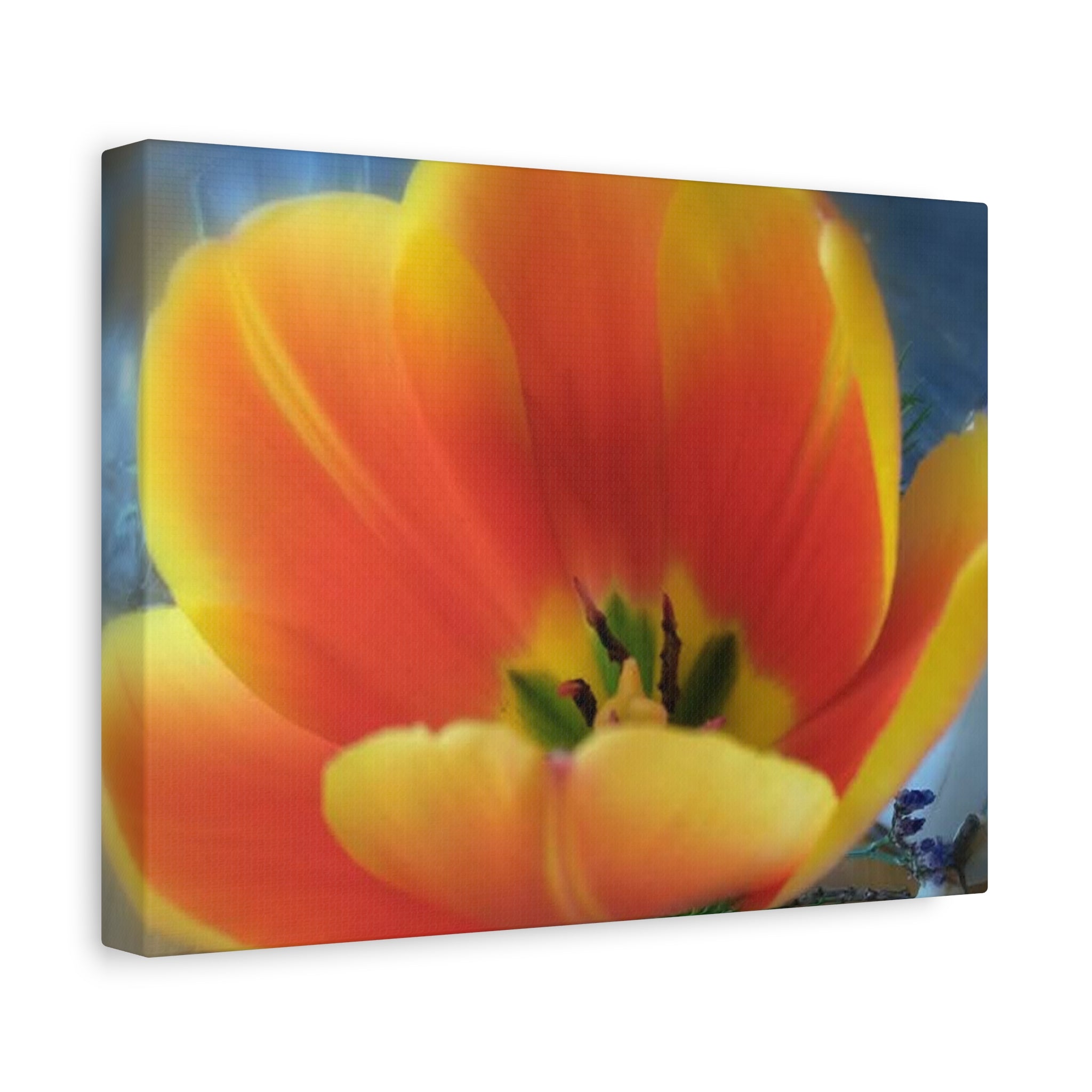 Vibrant Floral Canvas Wall Art