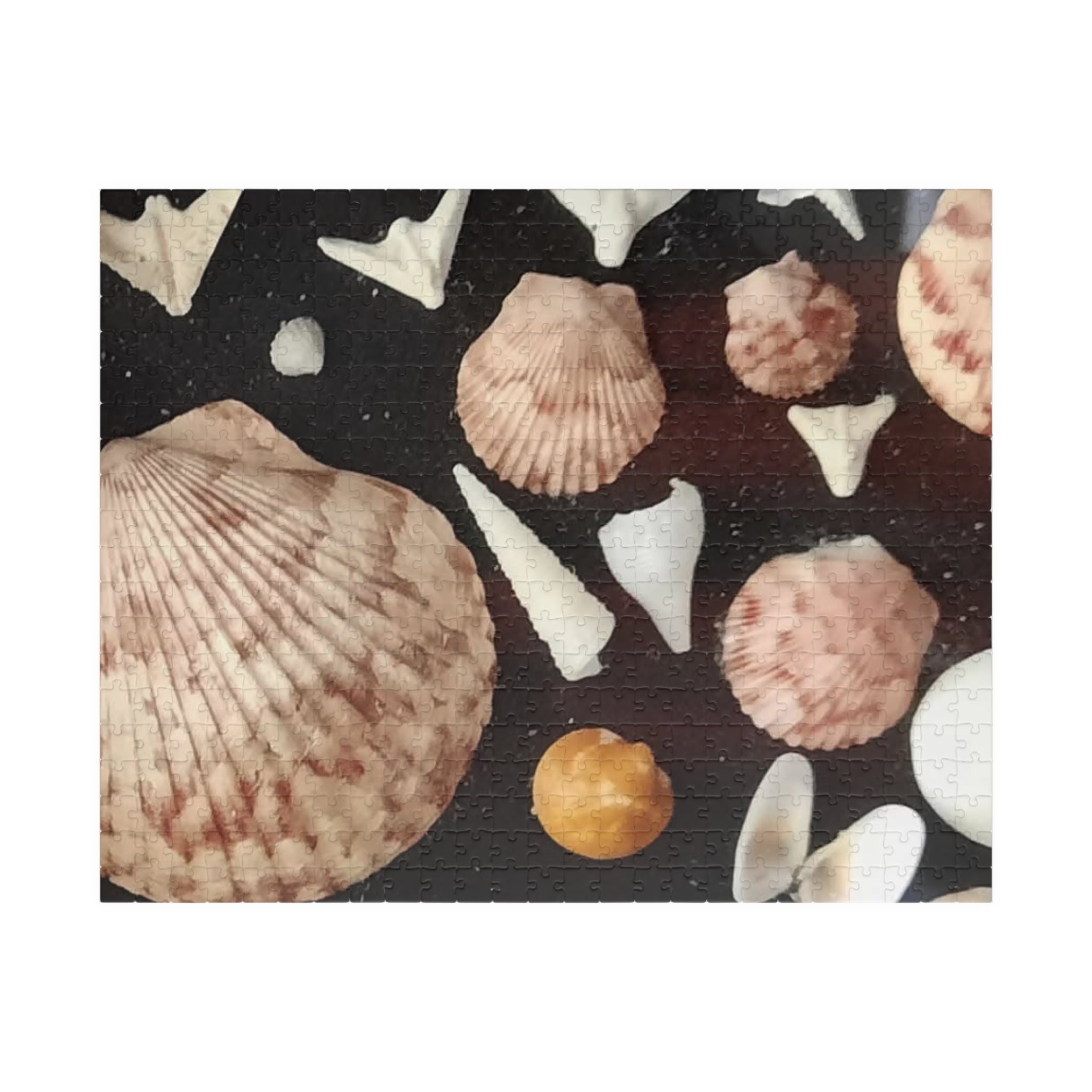 Seashell Puzzle Collection - 110 to 1014-Piece Jigsaw for Relaxation and Family Fun