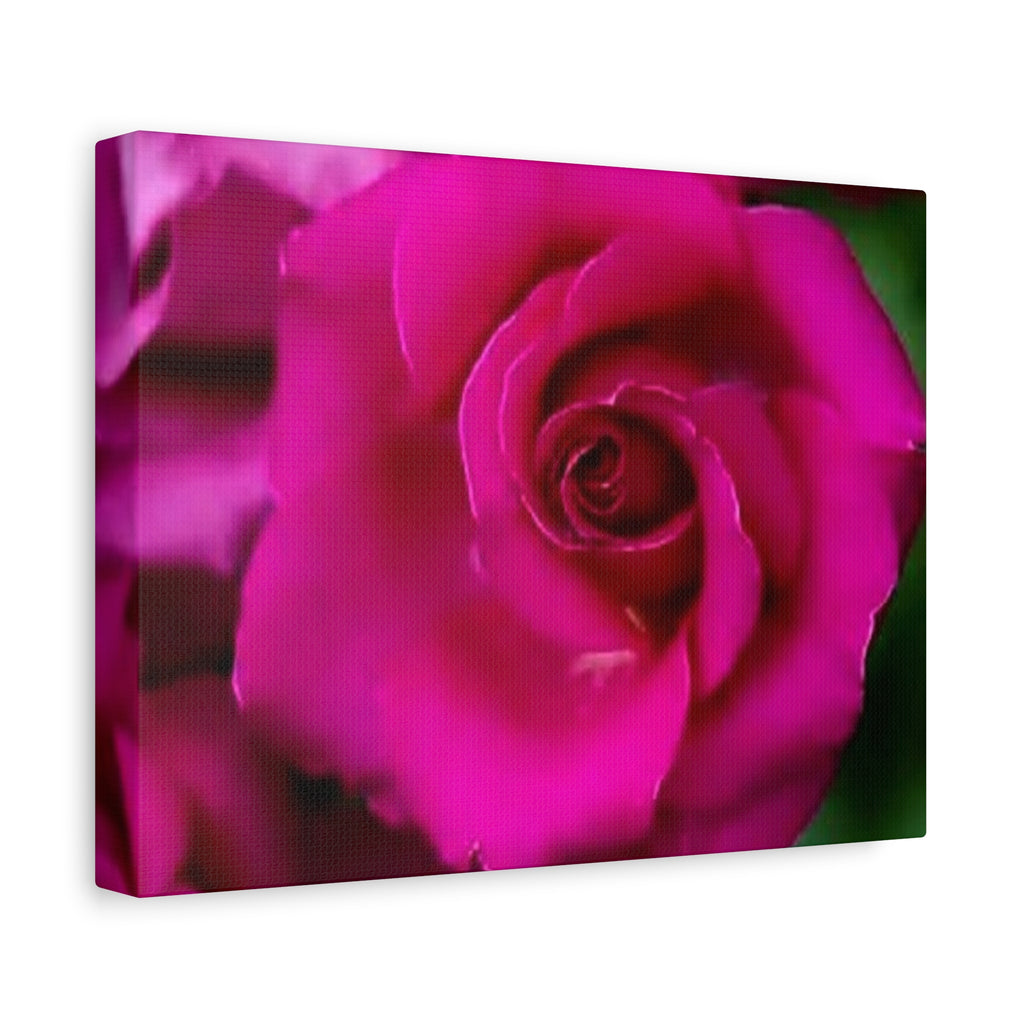 Hot Pink Rose Canvas Wall Art — Stretched Matte Floral Print