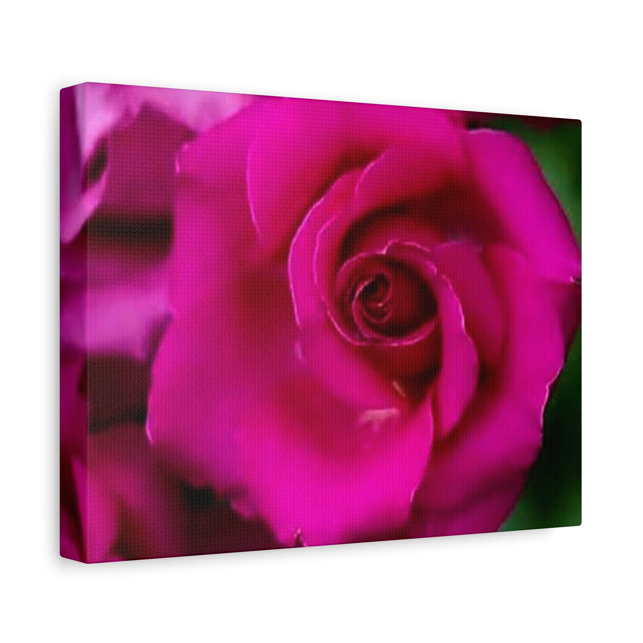 Hot Pink Rose Canvas Wall Art — Stretched Matte Floral Print