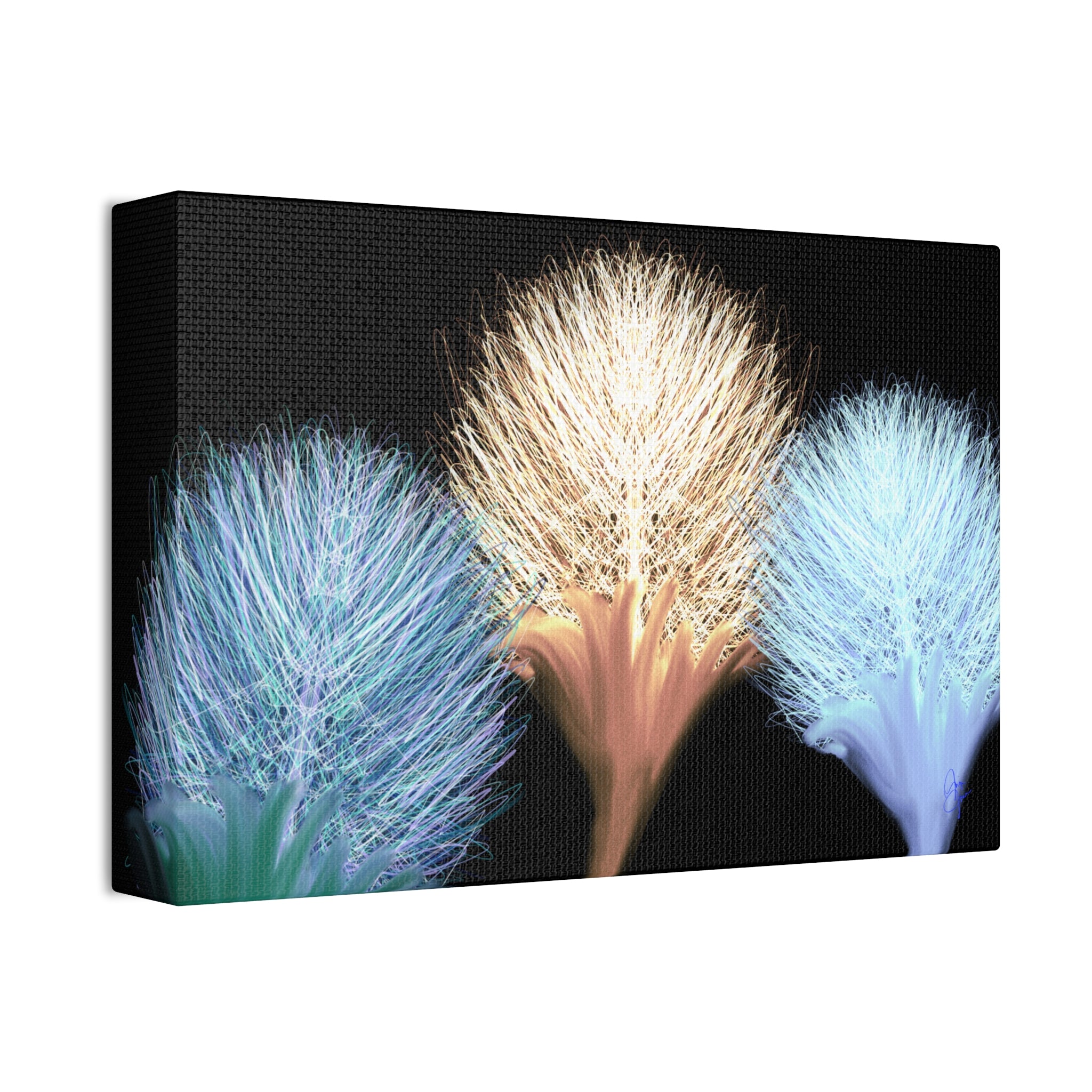 Floral Frond Canvas