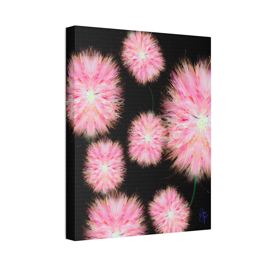 Pink Dandelion Burst Canvas Print — Stretched 1.5" Floral Wall Art