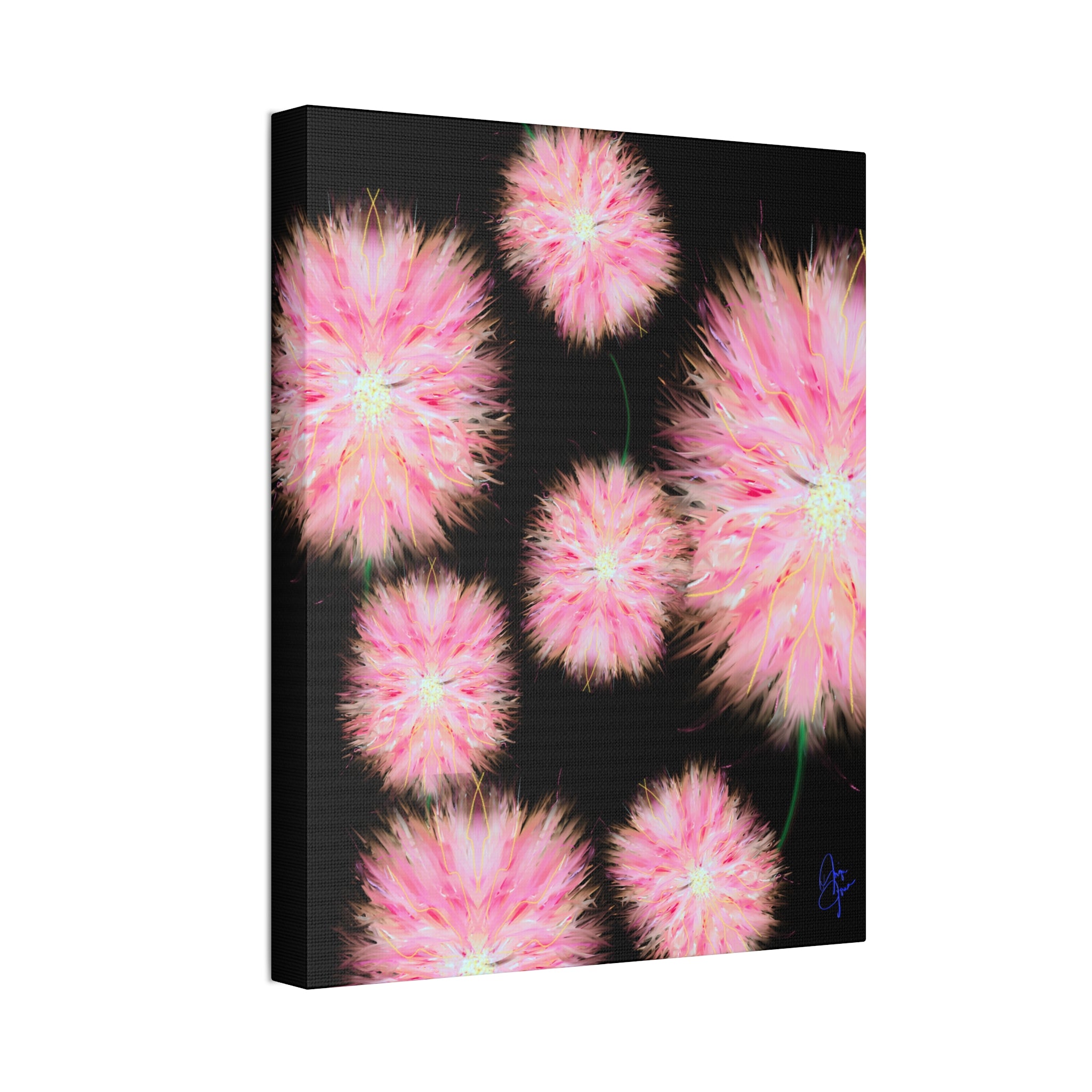 Pink Dandelion Burst Canvas Print — Stretched 1.5" Floral Wall Art