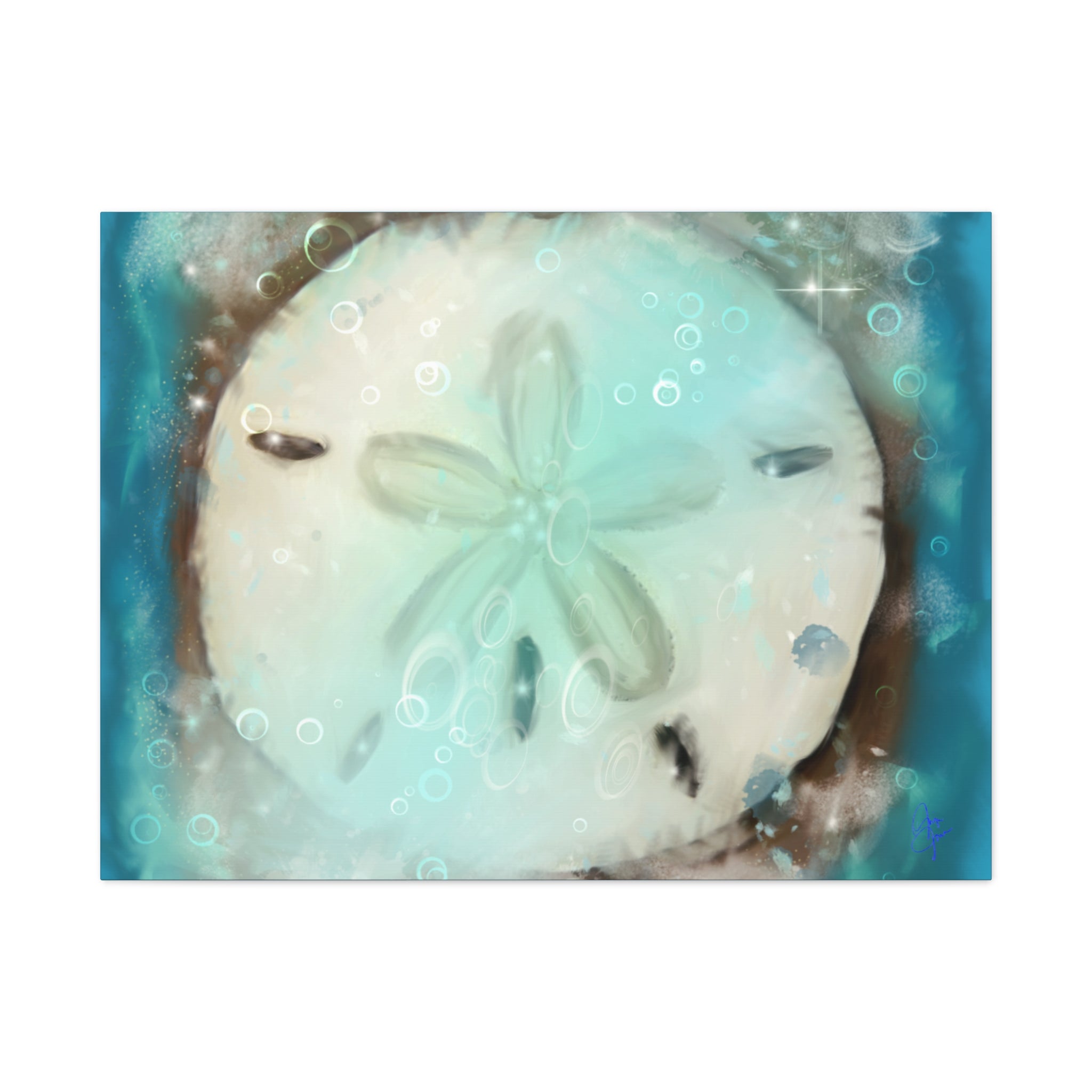 Sand Dollar Ocean Canvas Wall Art — Beach Coastal Nautical Decor