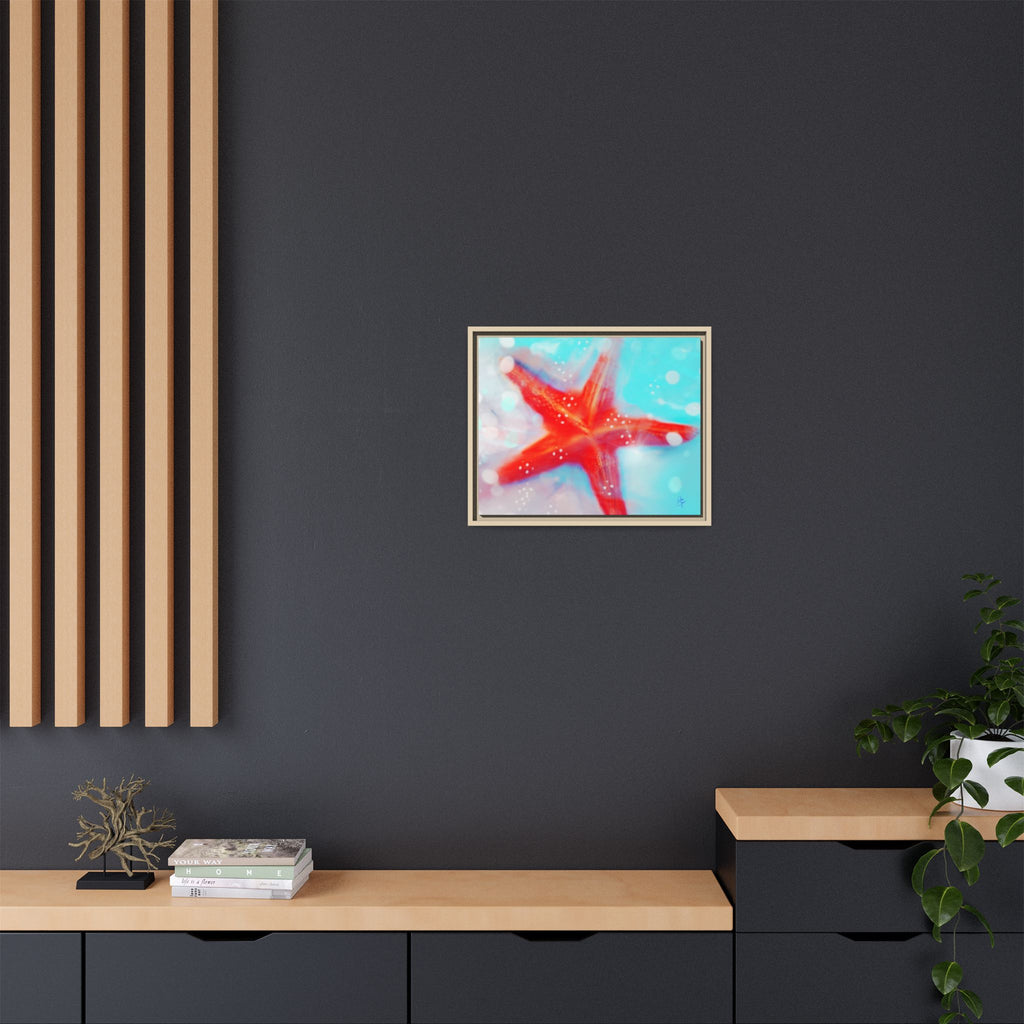 Starfish Life