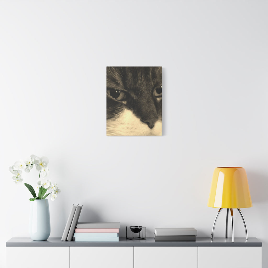 Cat Portrait Matte Canvas Wall Art