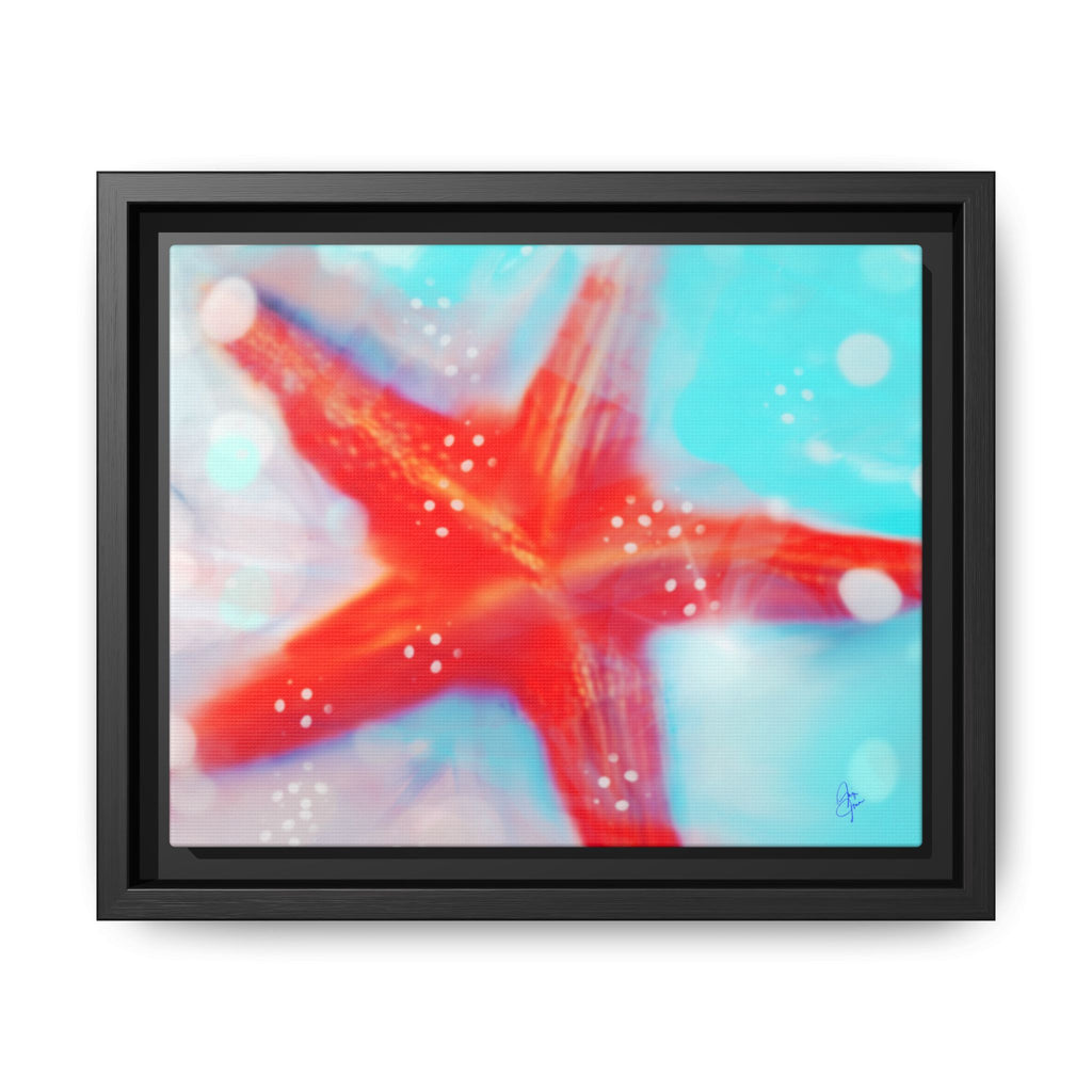 Starfish Life