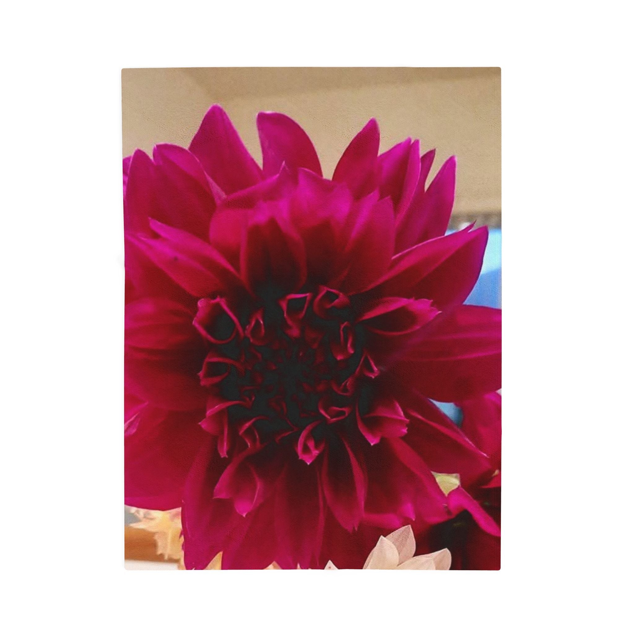 Velveteen Plush Blanket — Deep Magenta Dahlia Floral Throw