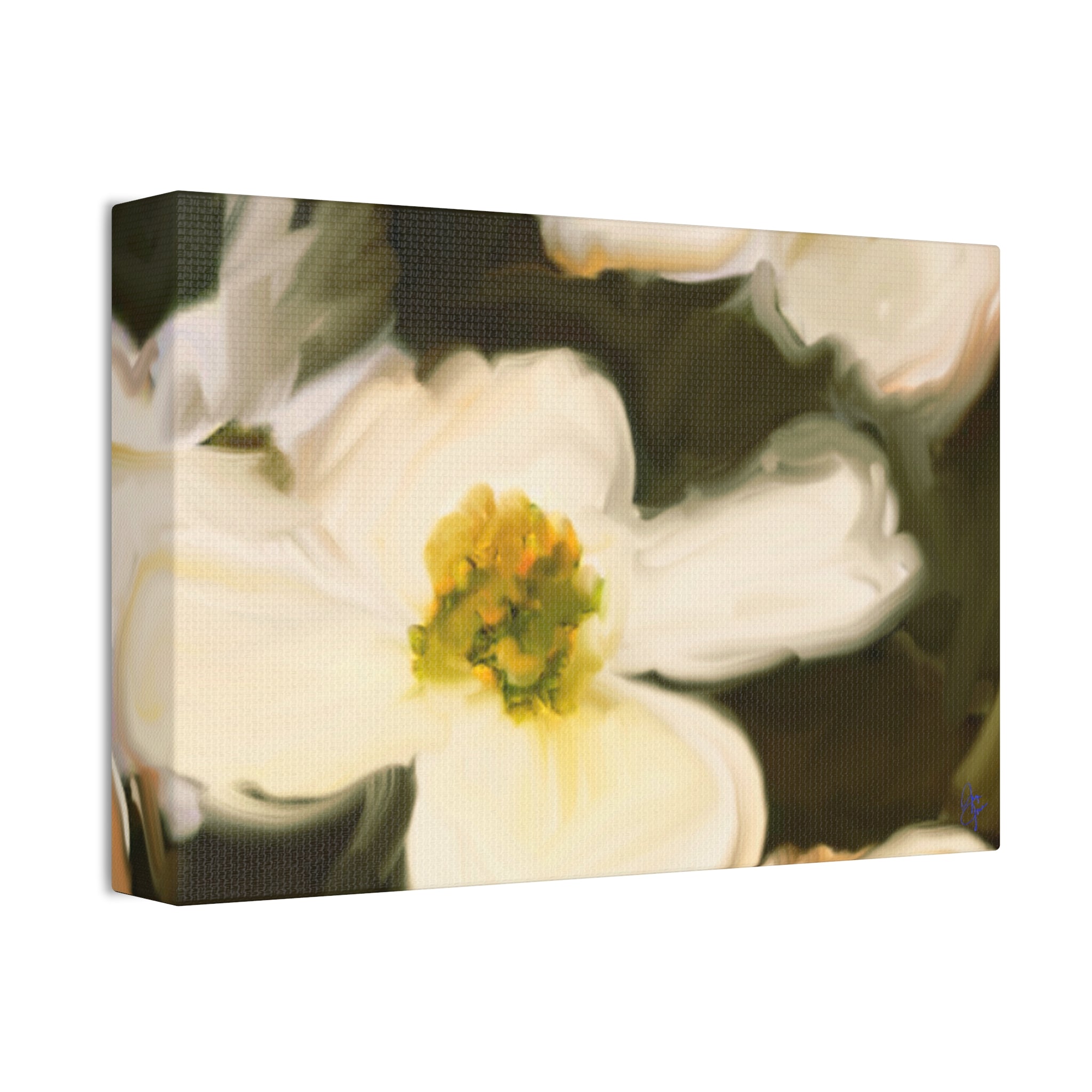 Davey Dogwood Park Palestine TX Canvas Wall Art