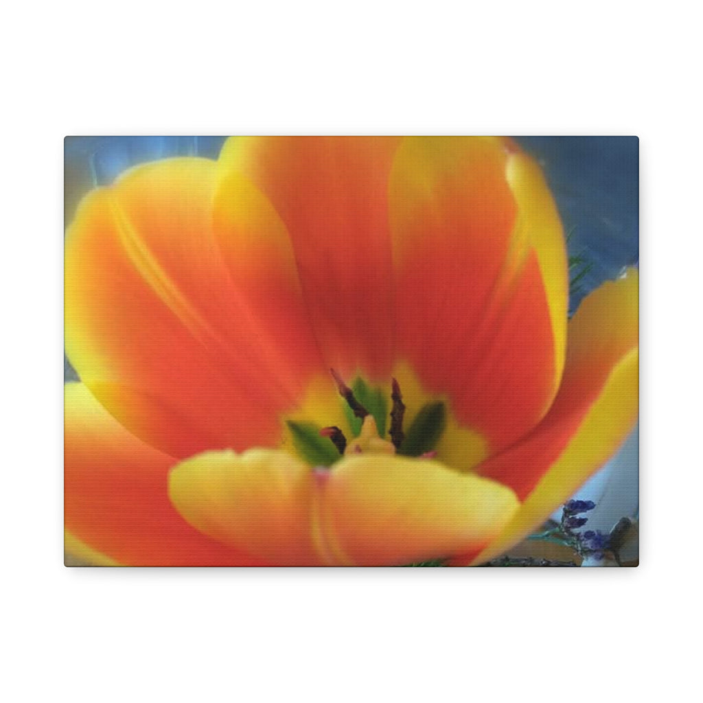 Vibrant Floral Canvas Wall Art
