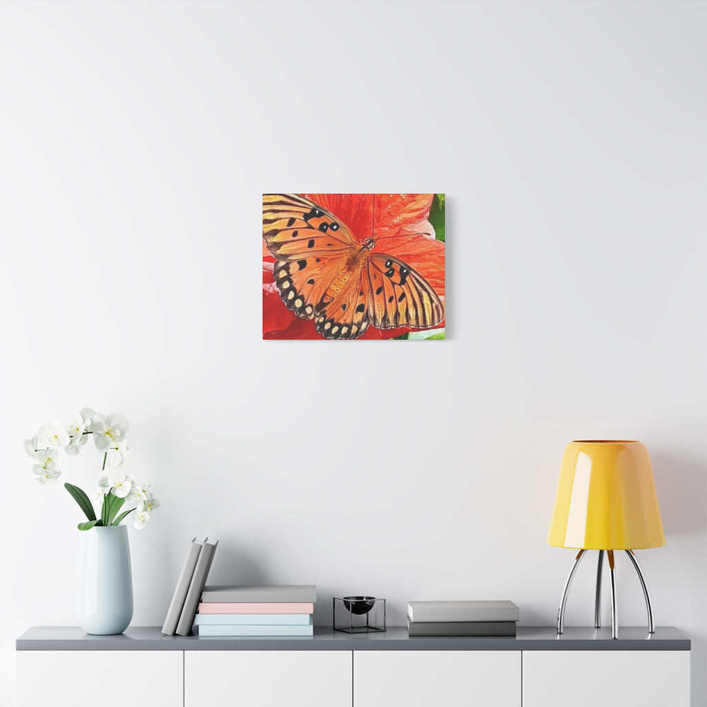 Vibrant Butterfly Canvas Art