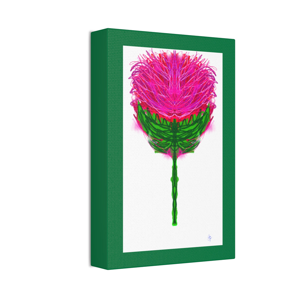 Pink Thistle Canvas Print — Stretched 1.5" Floral Wall Art