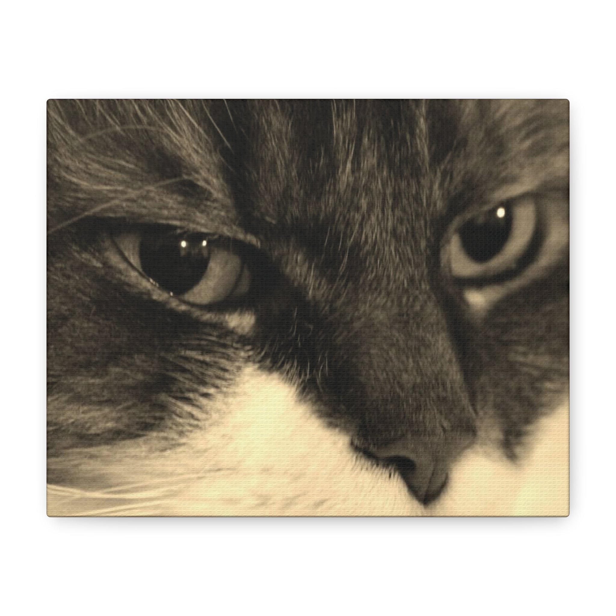 Cat Portrait Matte Canvas Wall Art
