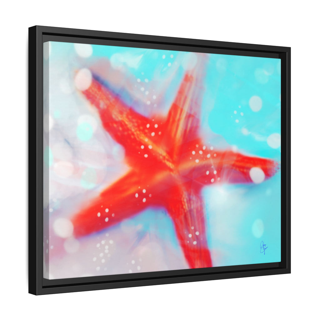 Starfish Life