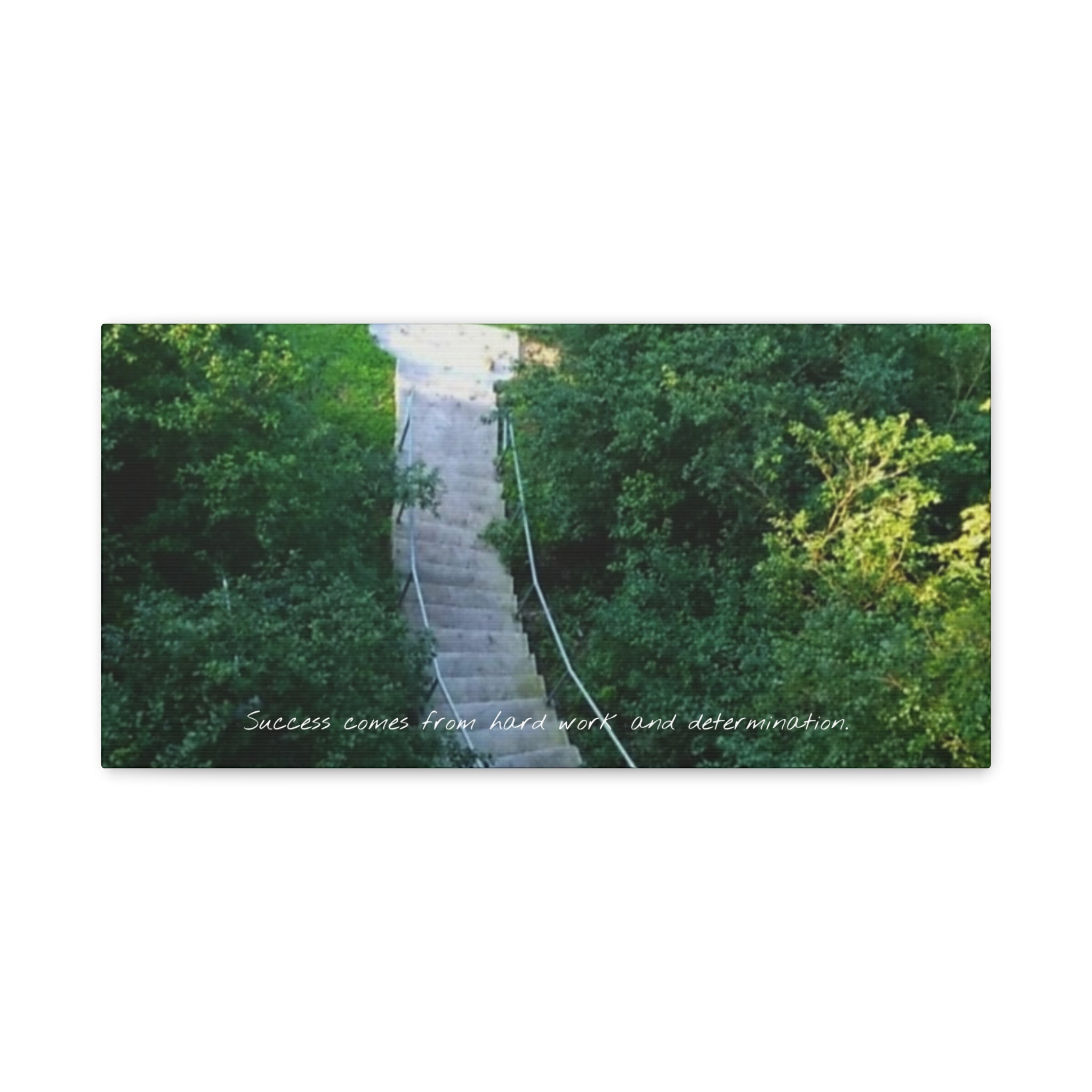 Motivational Wall Canvas — “Success Comes From Hard Work and Dedication” Matte Stretched Print