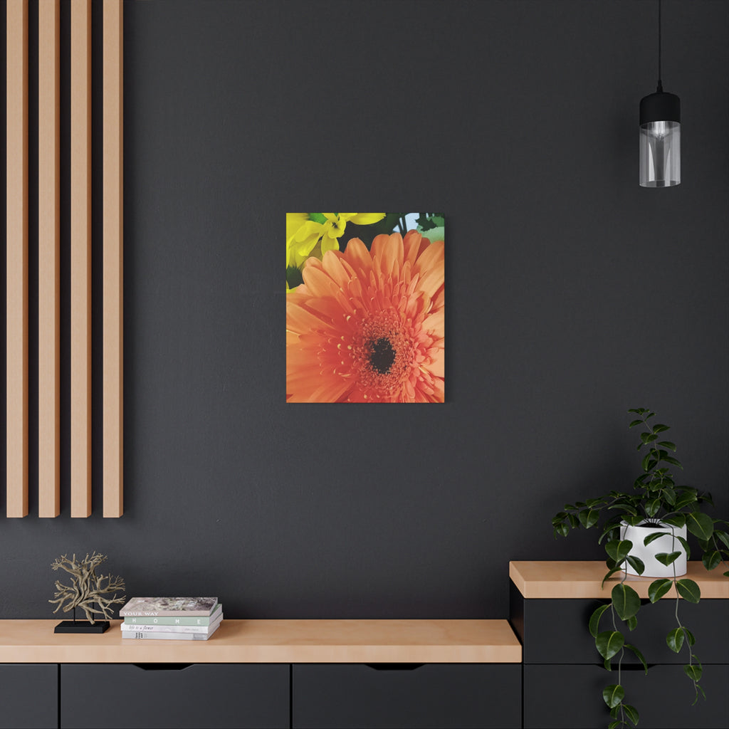 Orange Gerbera Canvas Wall Art — Matte Stretched Floral Print