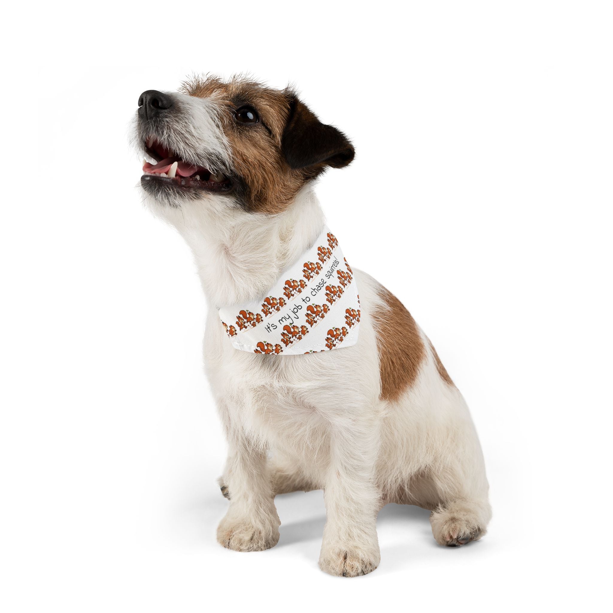 Dog Bandana Collar - What dog doesn't like to chase squirrels