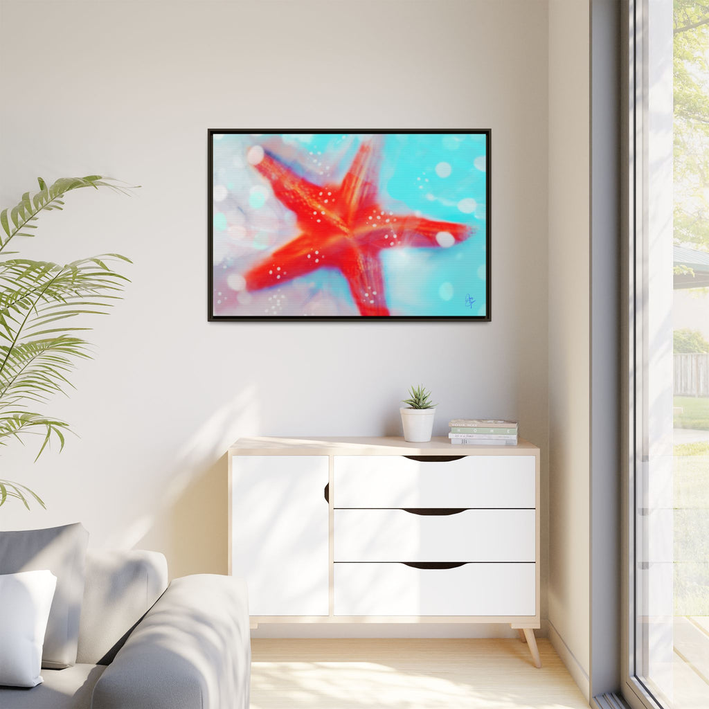 Starfish Life