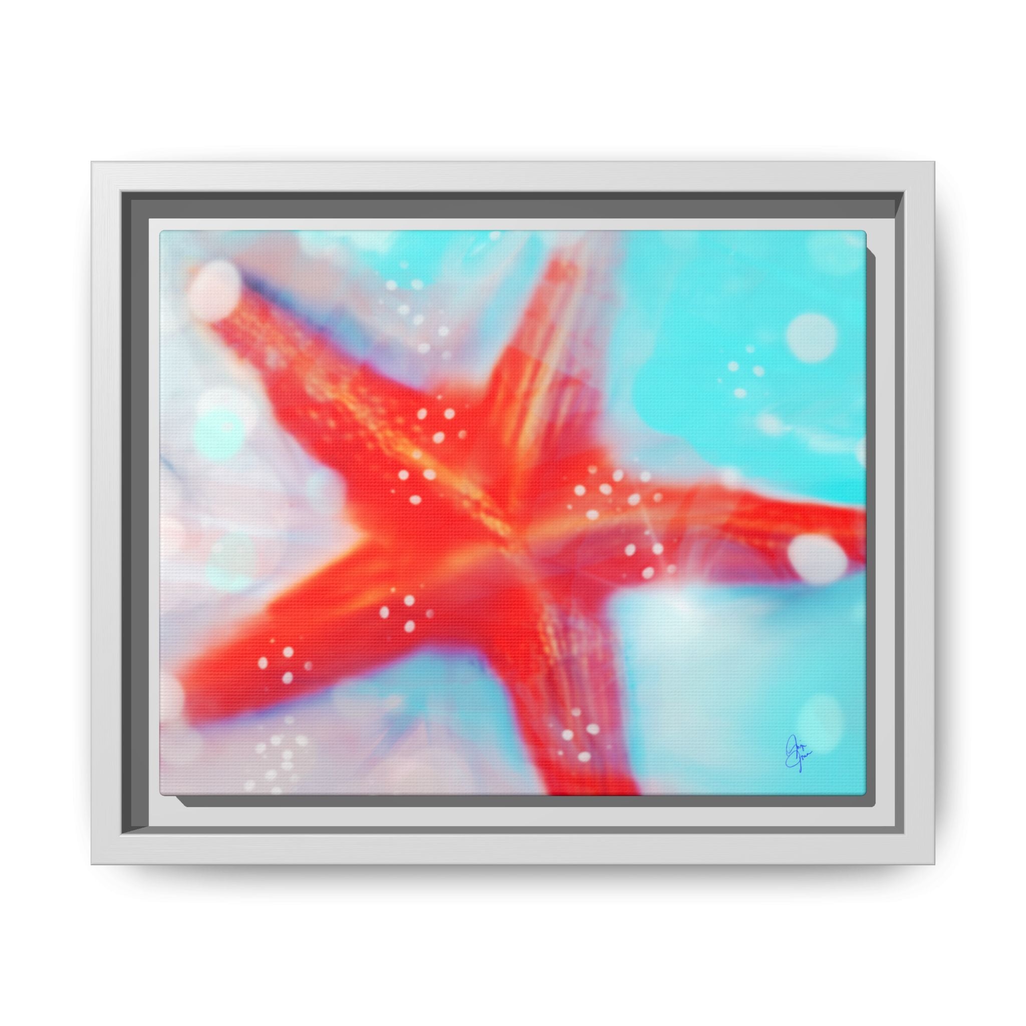 Starfish Life