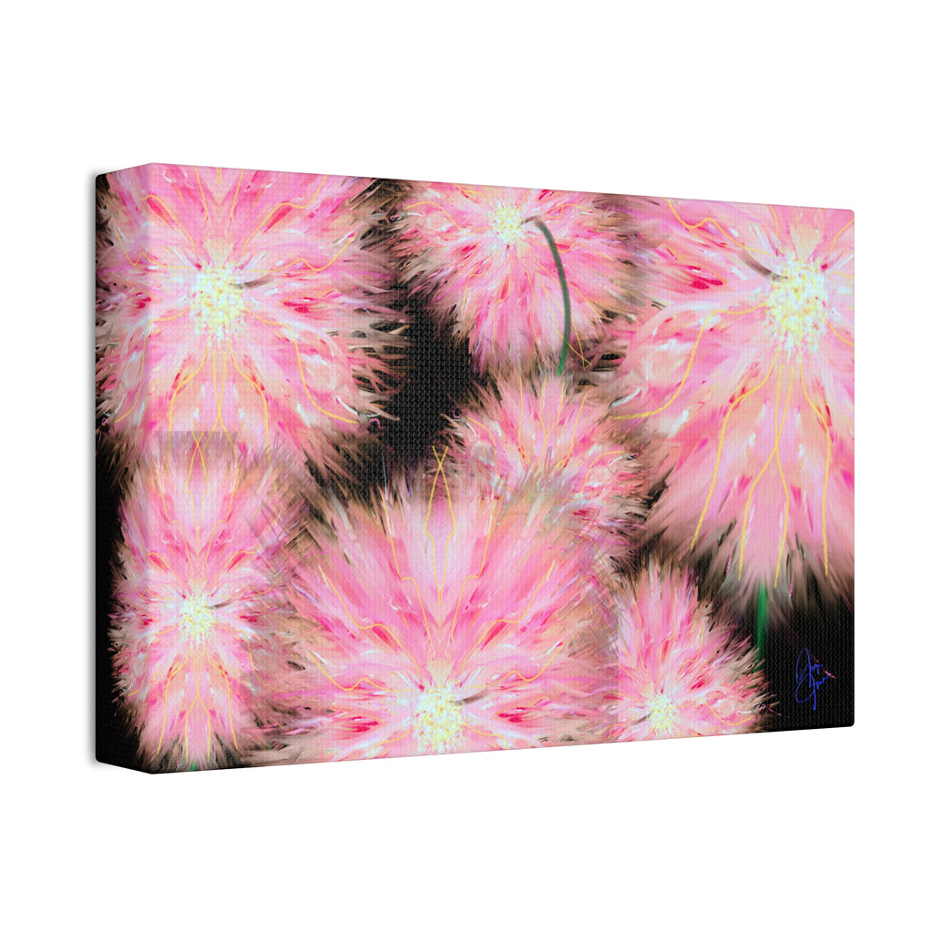 Pink Dandelion Burst Canvas Print — Stretched 1.5" Floral Wall Art