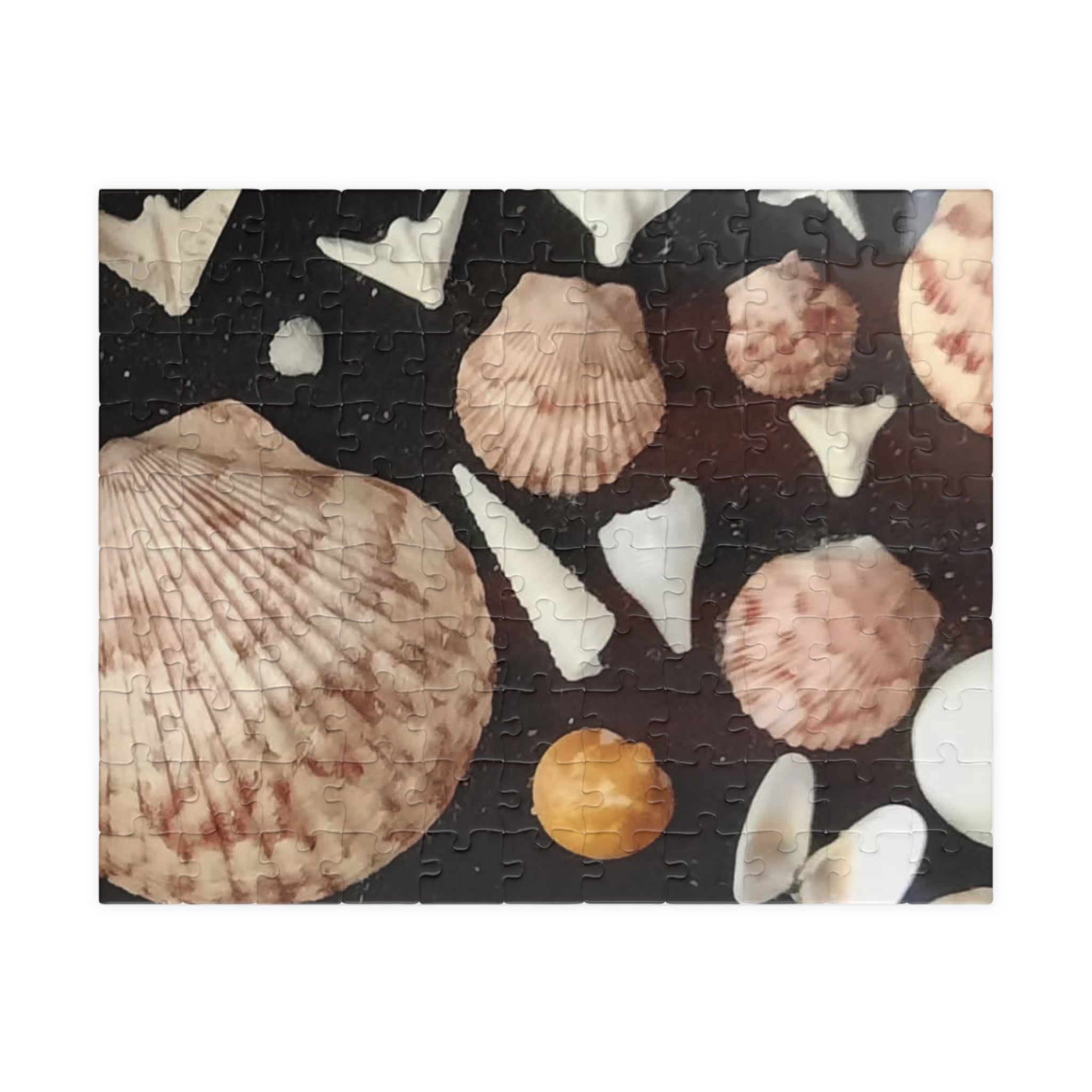 Seashell Puzzle Collection - 110 to 1014-Piece Jigsaw for Relaxation and Family Fun