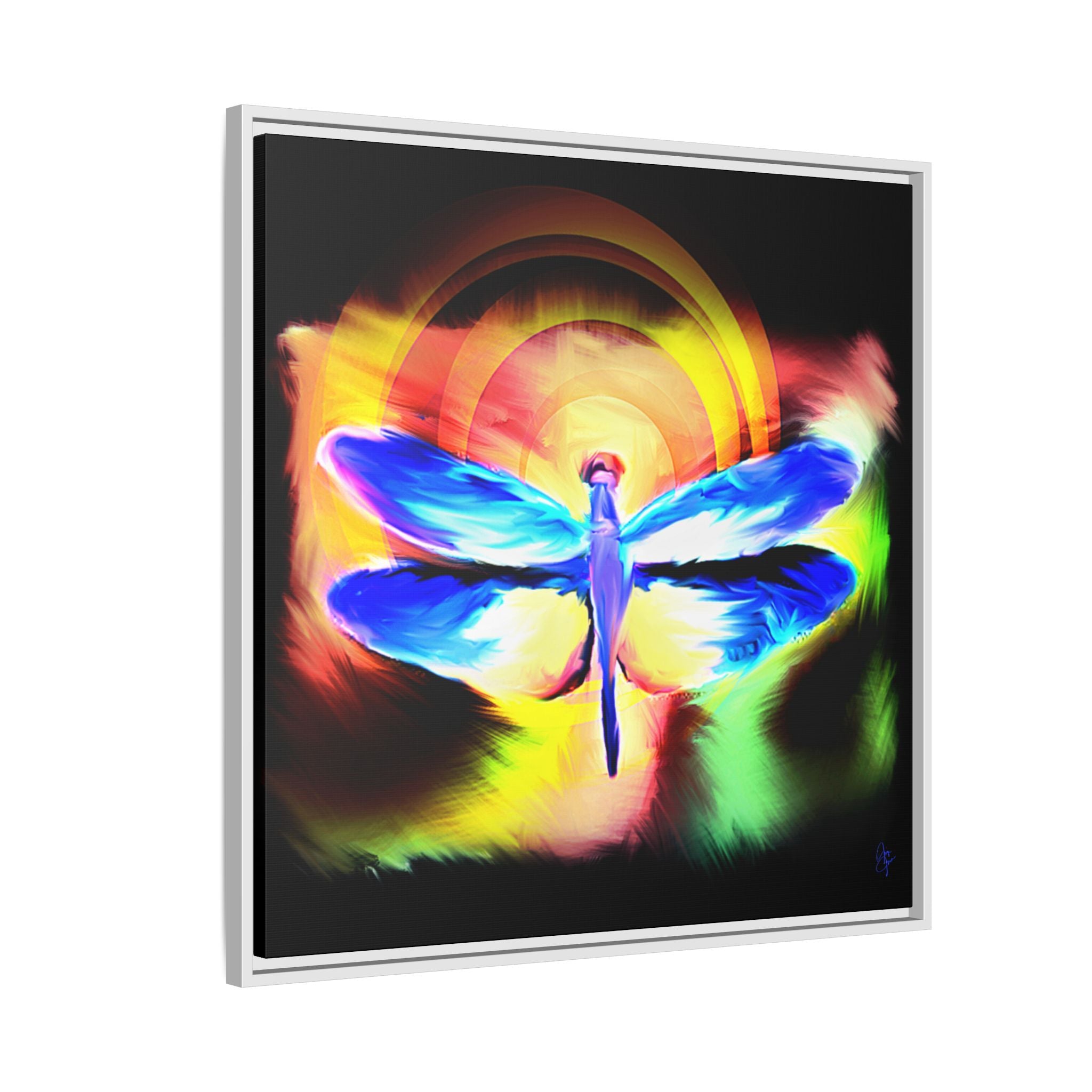 Dragonfly Rainbow