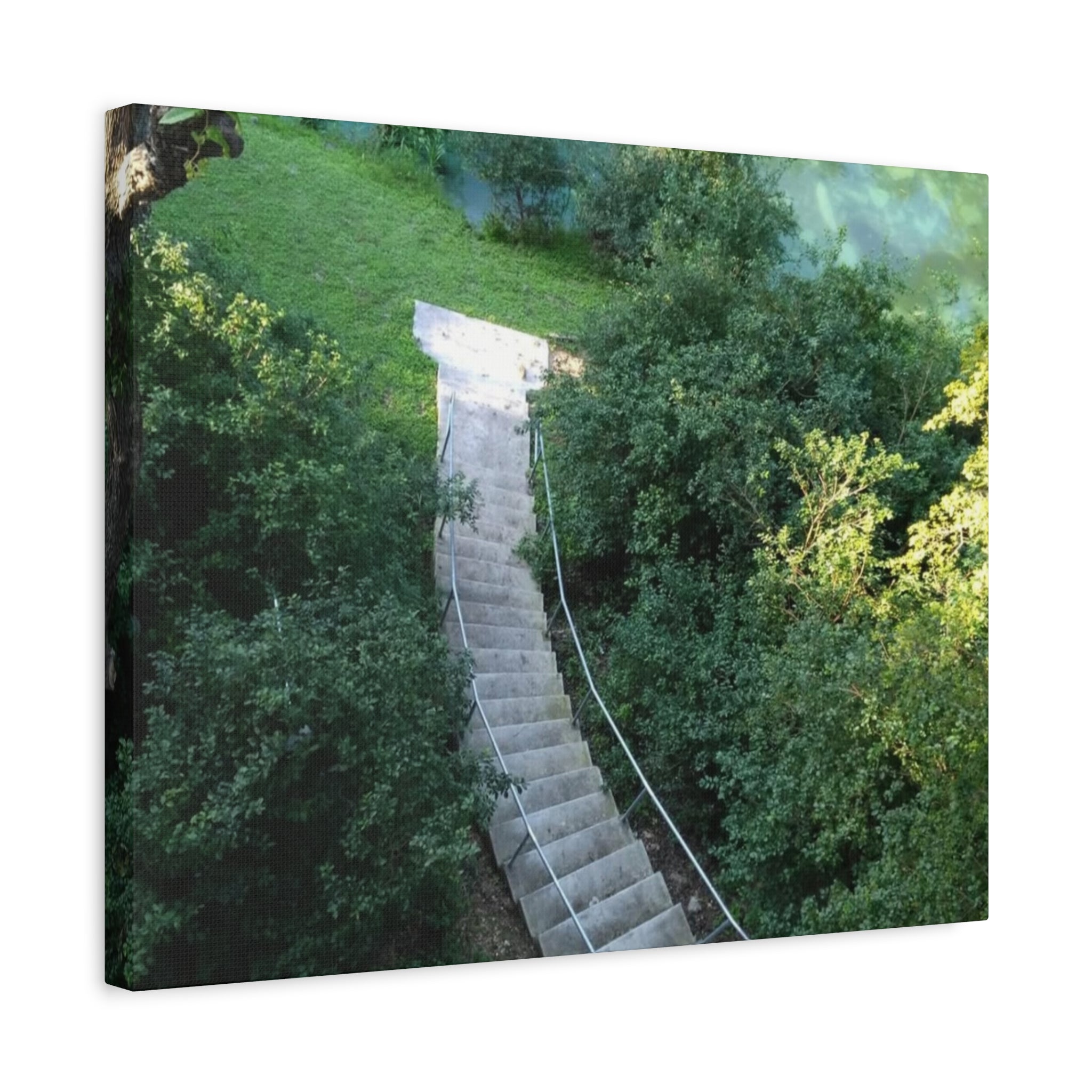 Canvas Wall Art - Forest Stairway Matte Stretched Canvas (1.25")