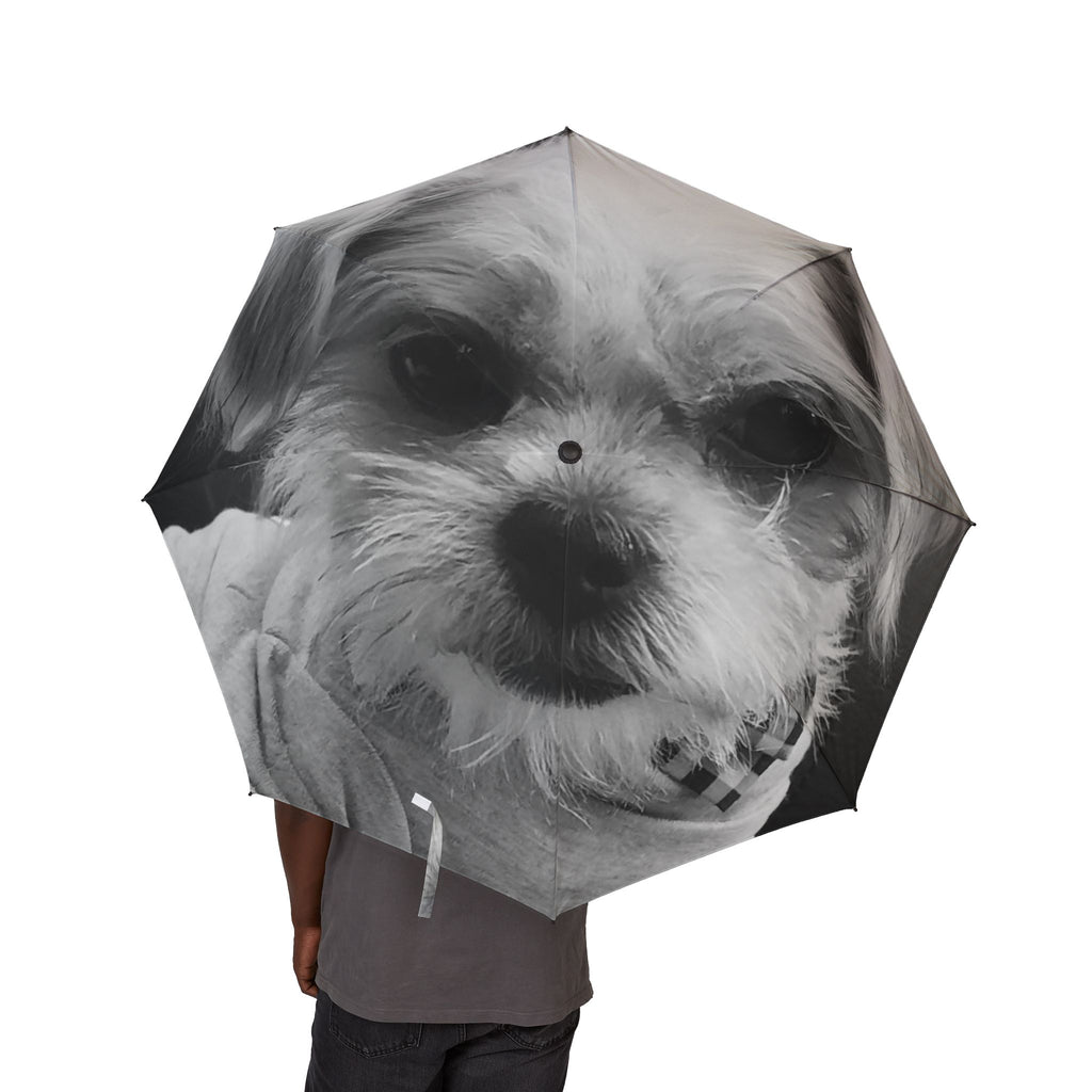 Stylish Semi-Automatic Foldable Umbrella with Unique Pet Design