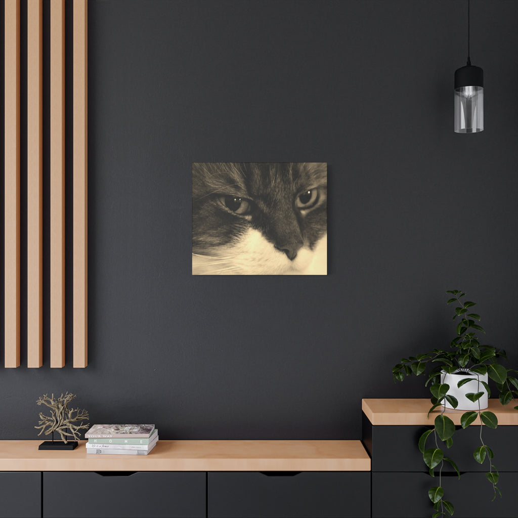 Cat Portrait Matte Canvas Wall Art