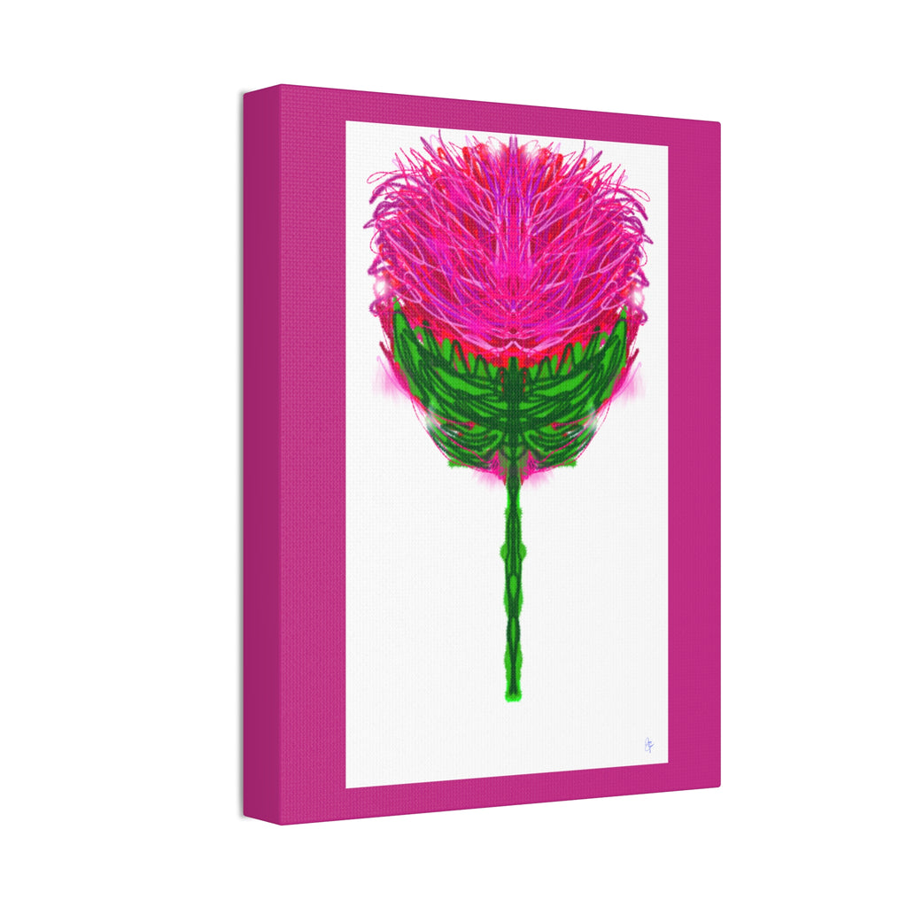 Pink Thistle Canvas Print — Stretched 1.5" Floral Wall Art