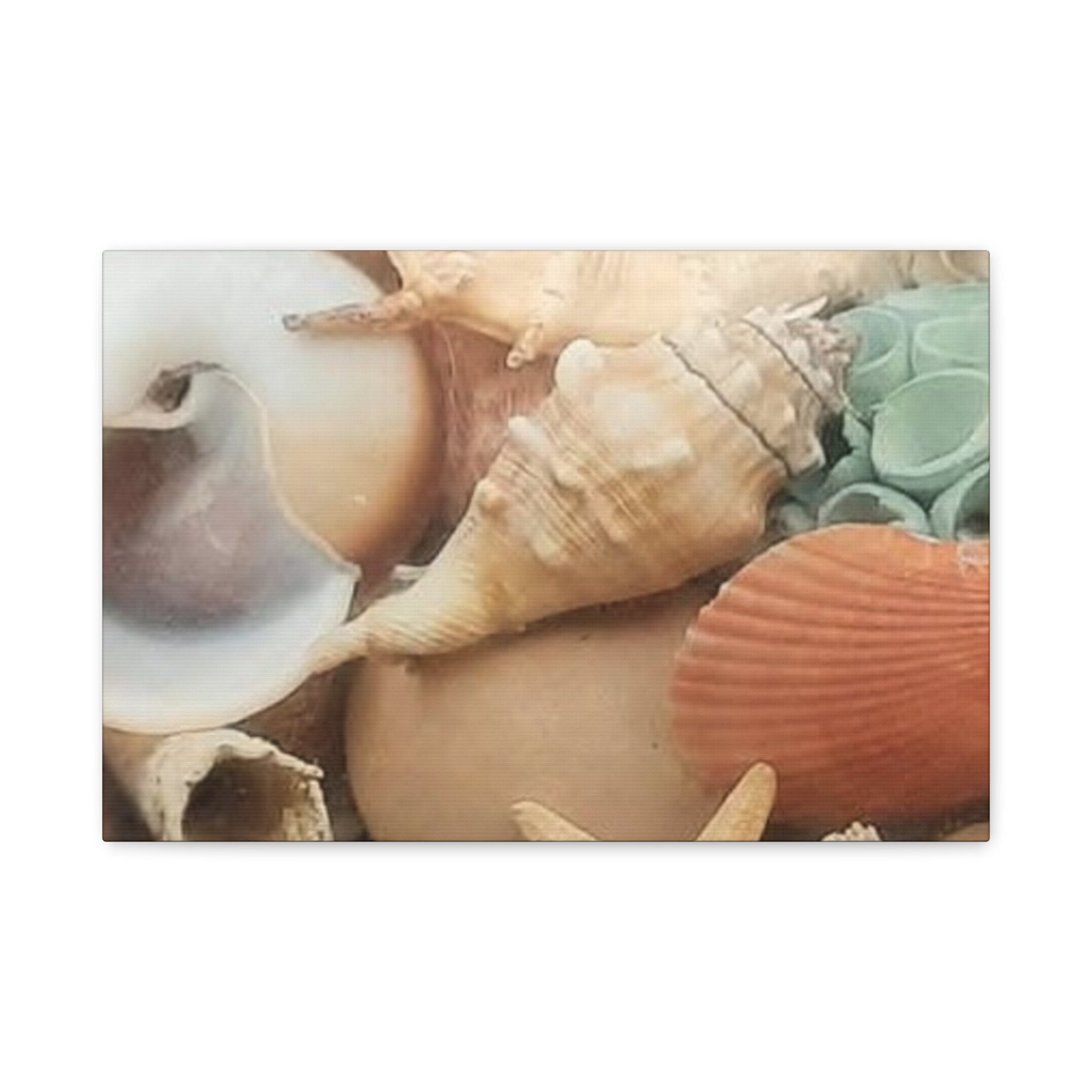 Seashells Beach Canvas Wall Art – Matte Stretched 1.25"