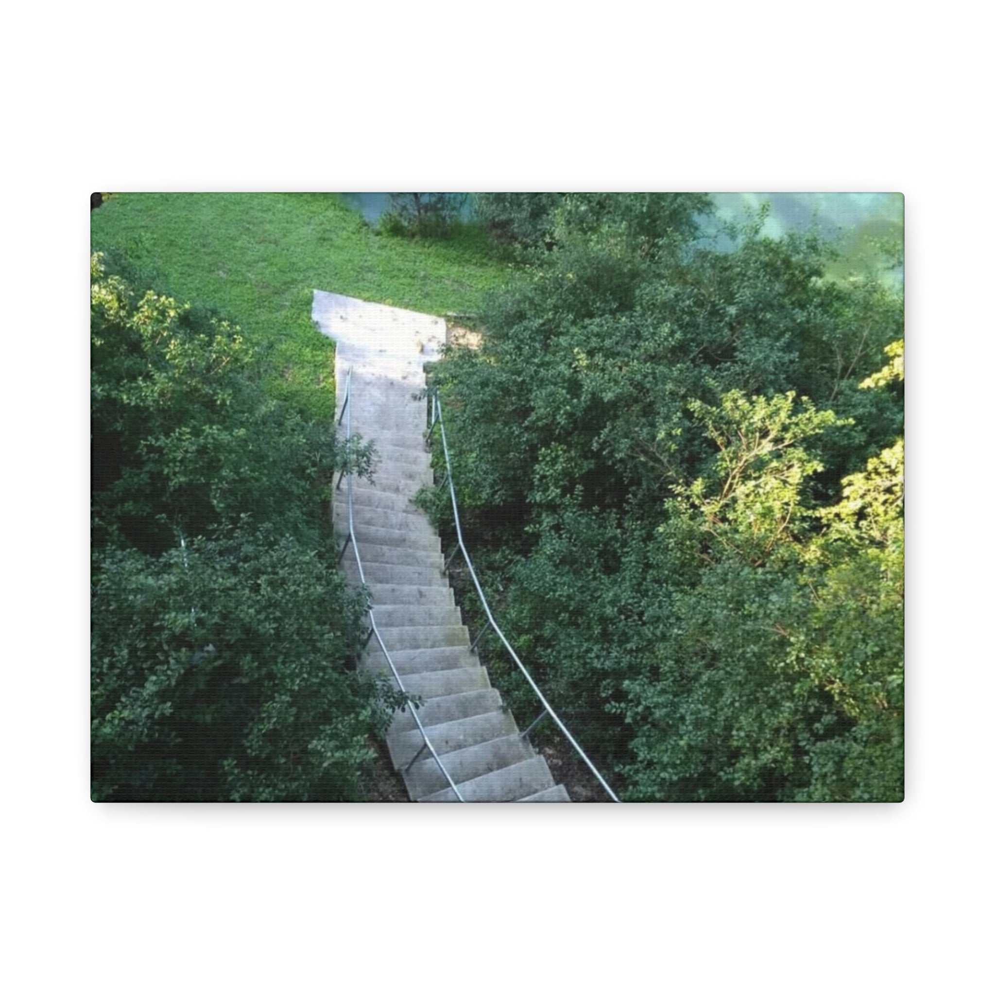Canvas Wall Art - Forest Stairway Matte Stretched Canvas (1.25")