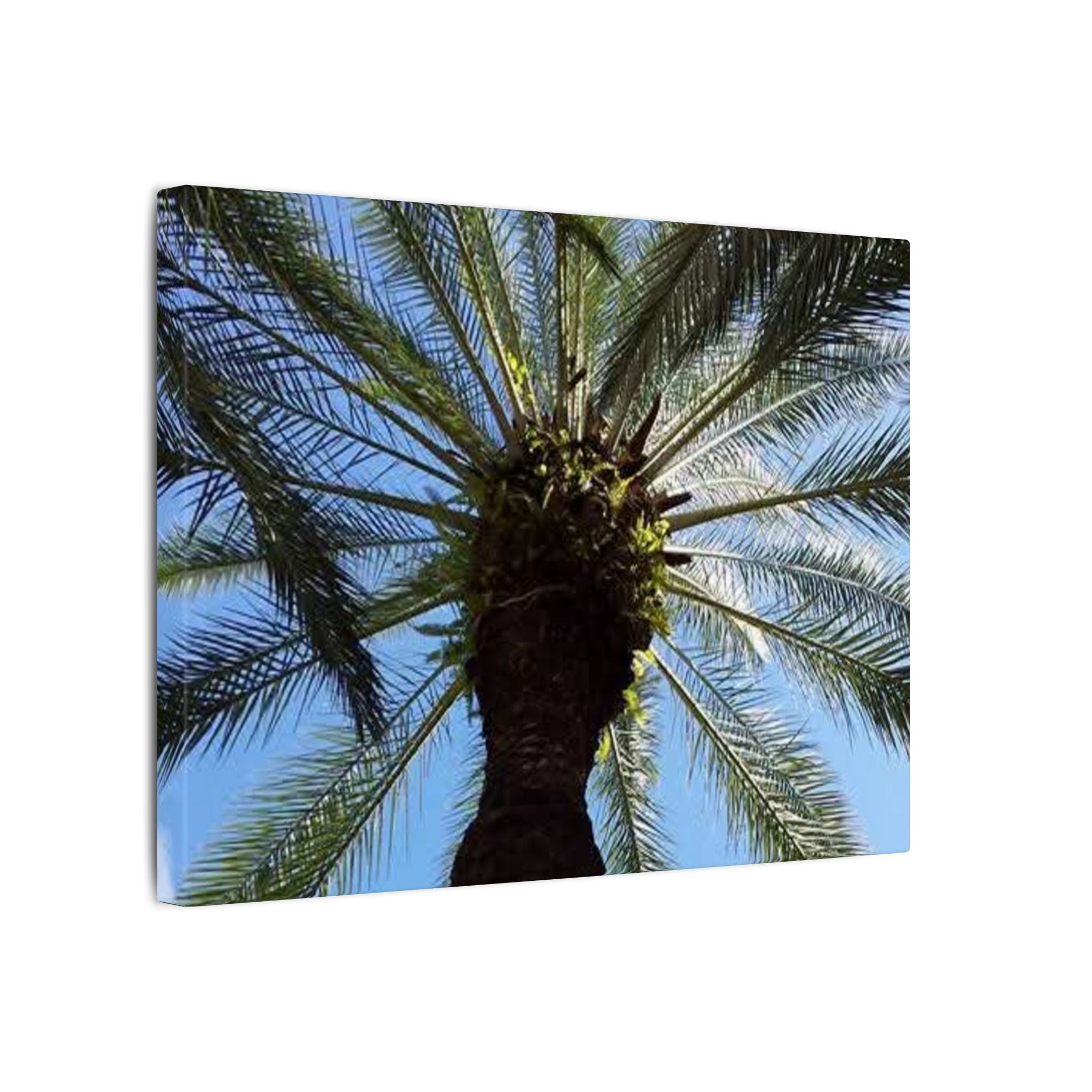 Palm Tree Matte Canvas Wall Art - Tropical Vibe