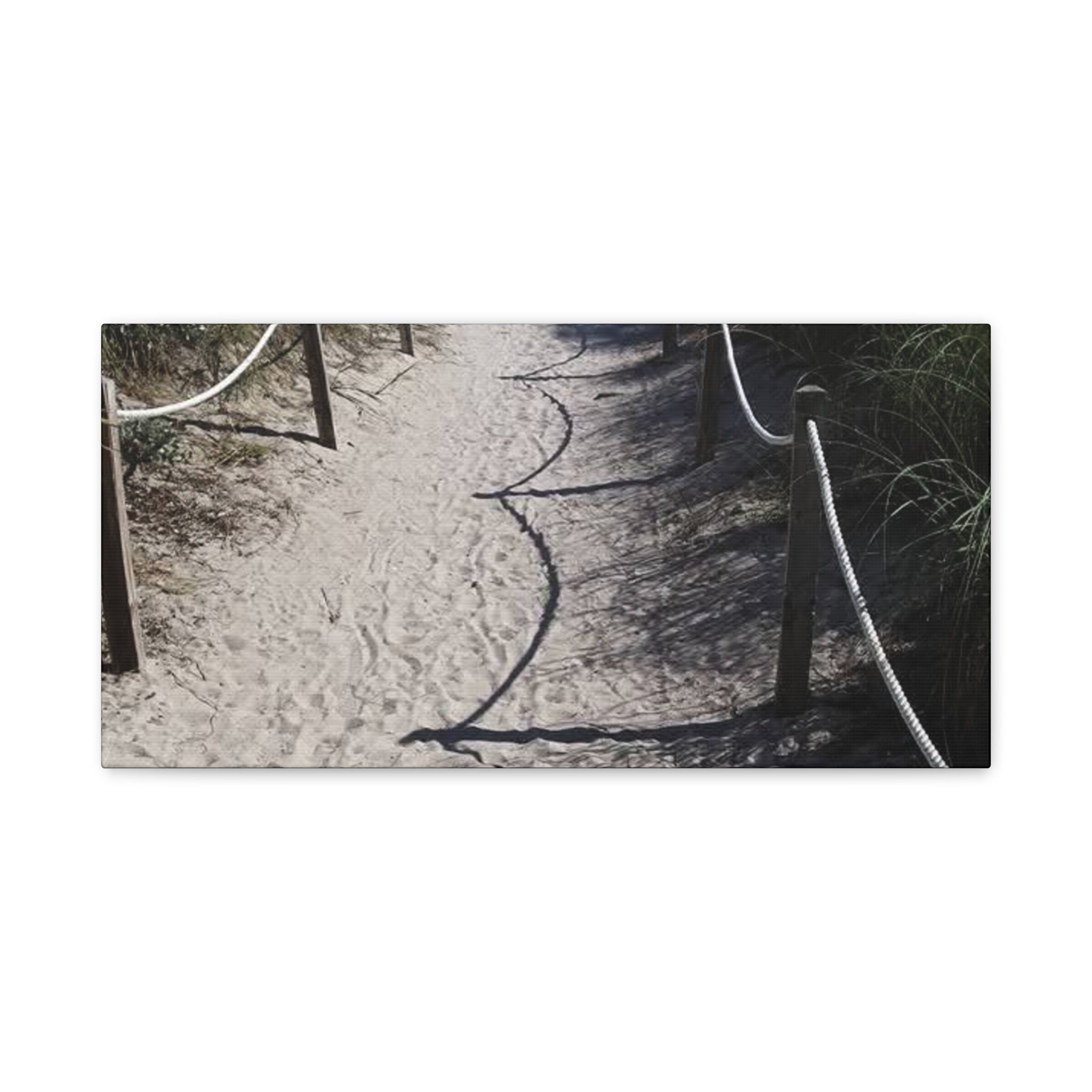 Beach Pathway Wall Art - Matte Canvas