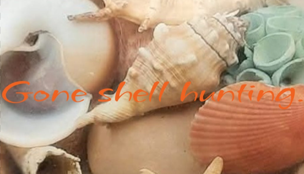 Seashell Beach Doormat — "Gone shell hunting" Polyester Welcome Mat