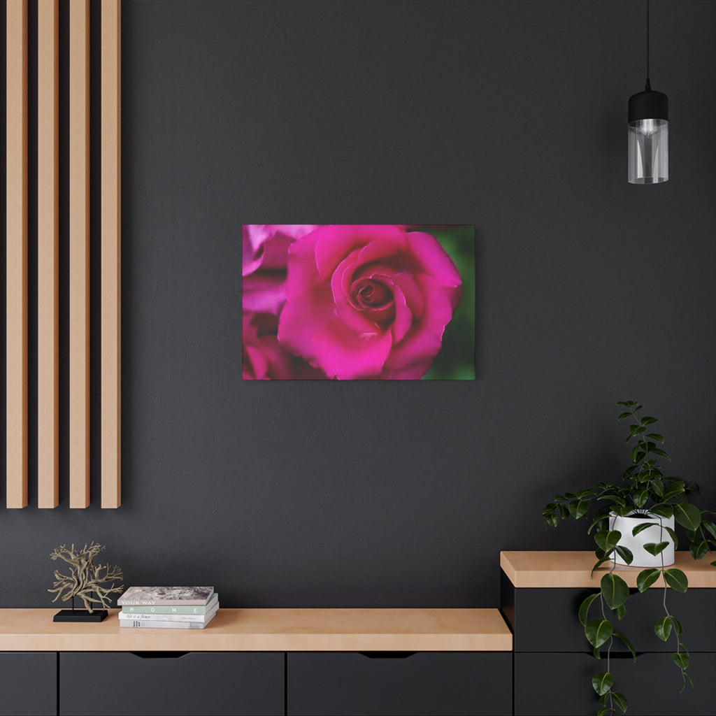 Hot Pink Rose Canvas Wall Art — Stretched Matte Floral Print