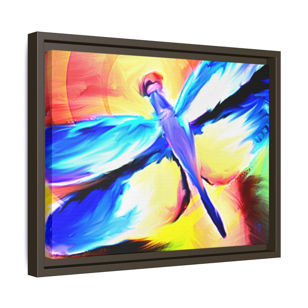 Dragonfly Rainbow