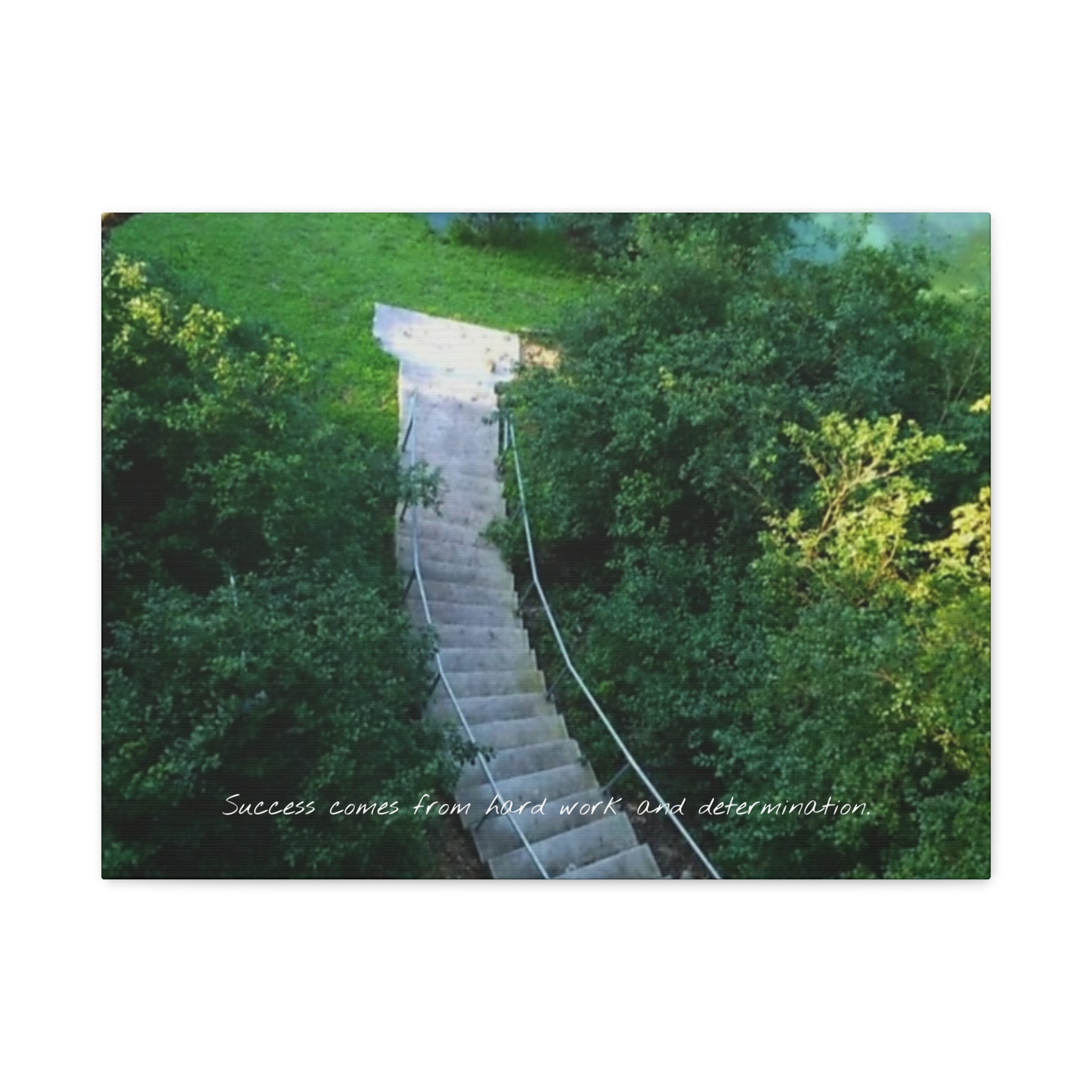 Motivational Wall Canvas — “Success Comes From Hard Work and Dedication” Matte Stretched Print