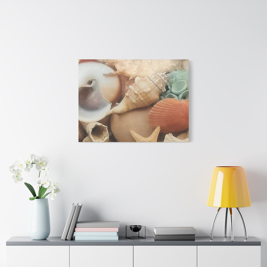 Seashells Beach Canvas Wall Art – Matte Stretched 1.25"