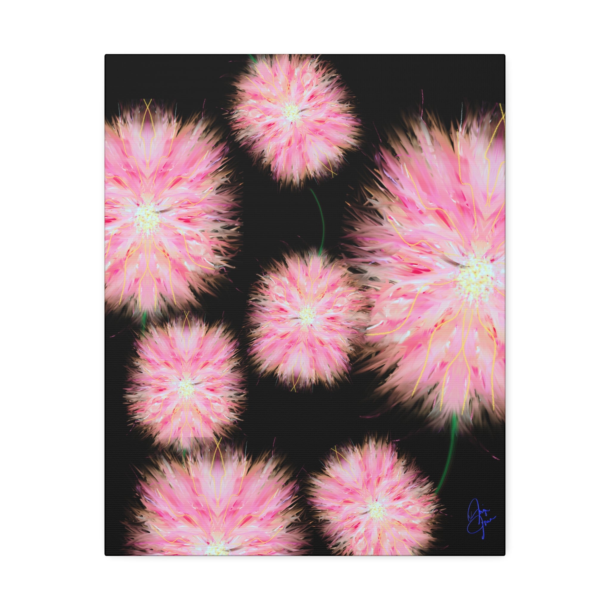 Pink Dandelion Burst Canvas Print — Stretched 1.5" Floral Wall Art