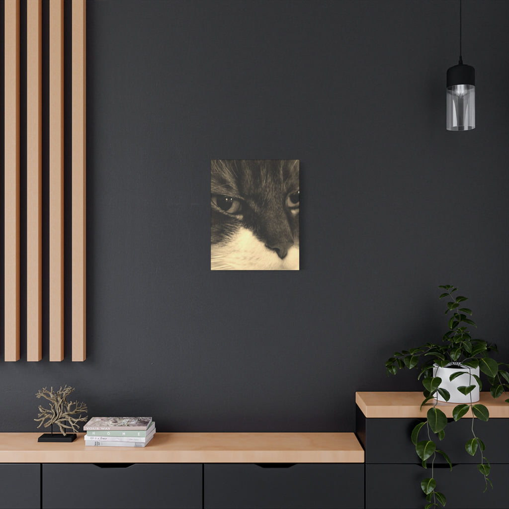 Cat Portrait Matte Canvas Wall Art
