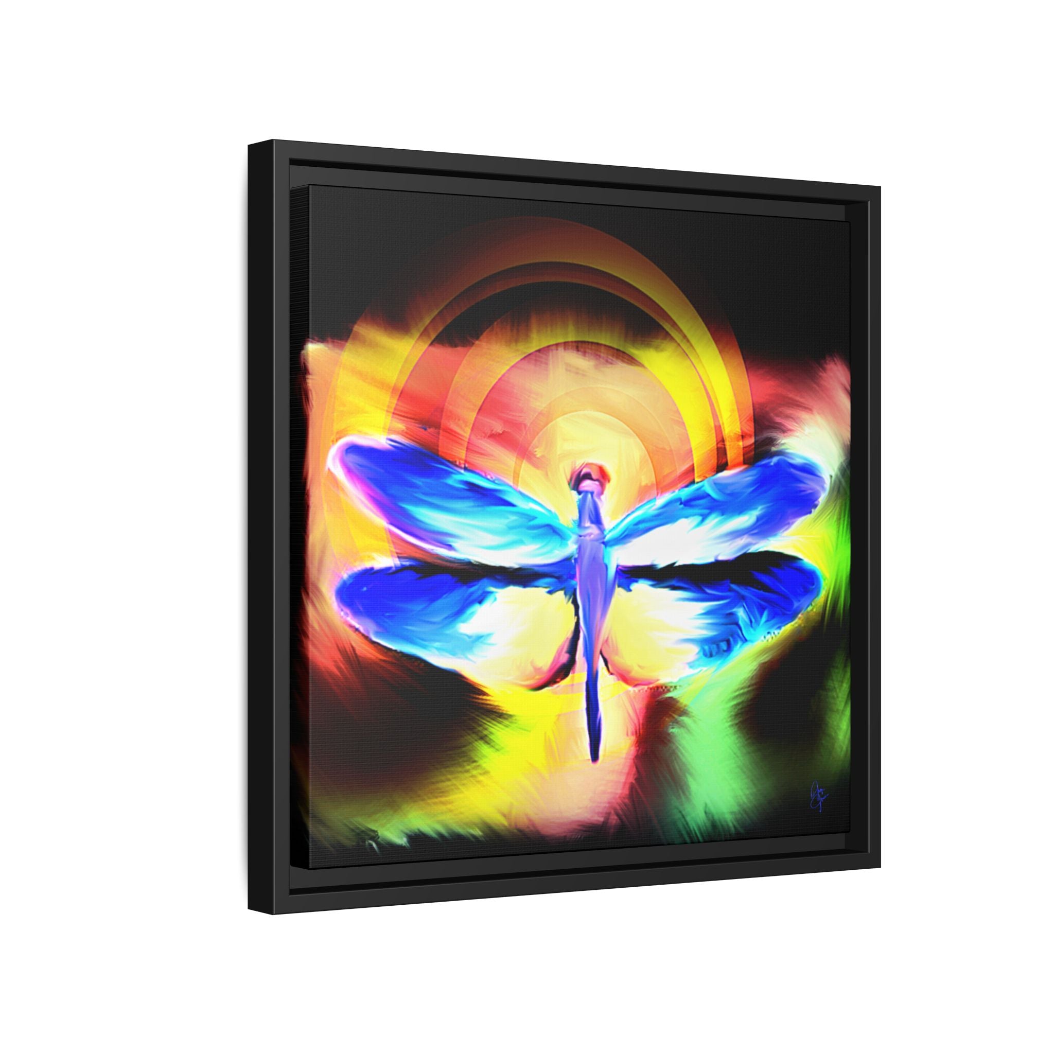 Dragonfly Rainbow