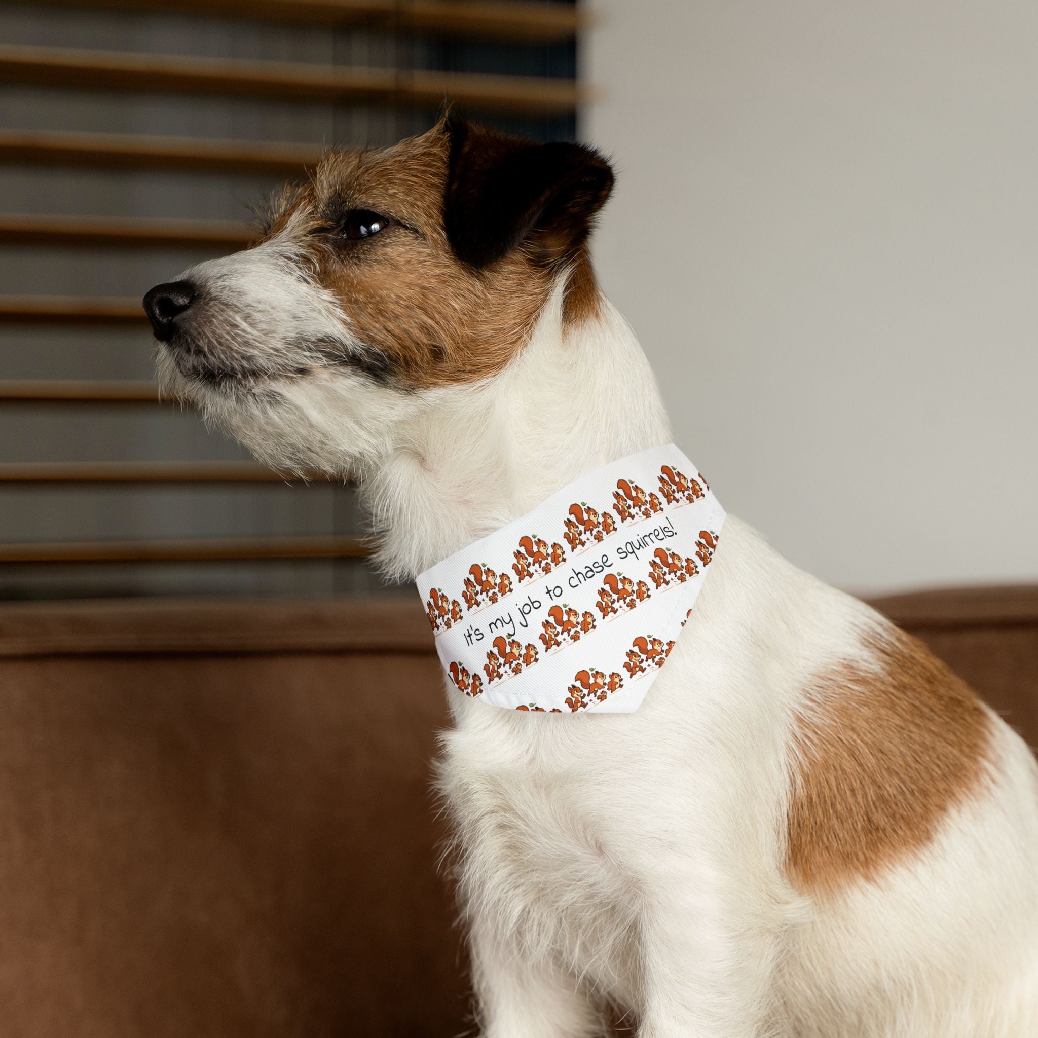 Dog Bandana Collar - What dog doesn't like to chase squirrels