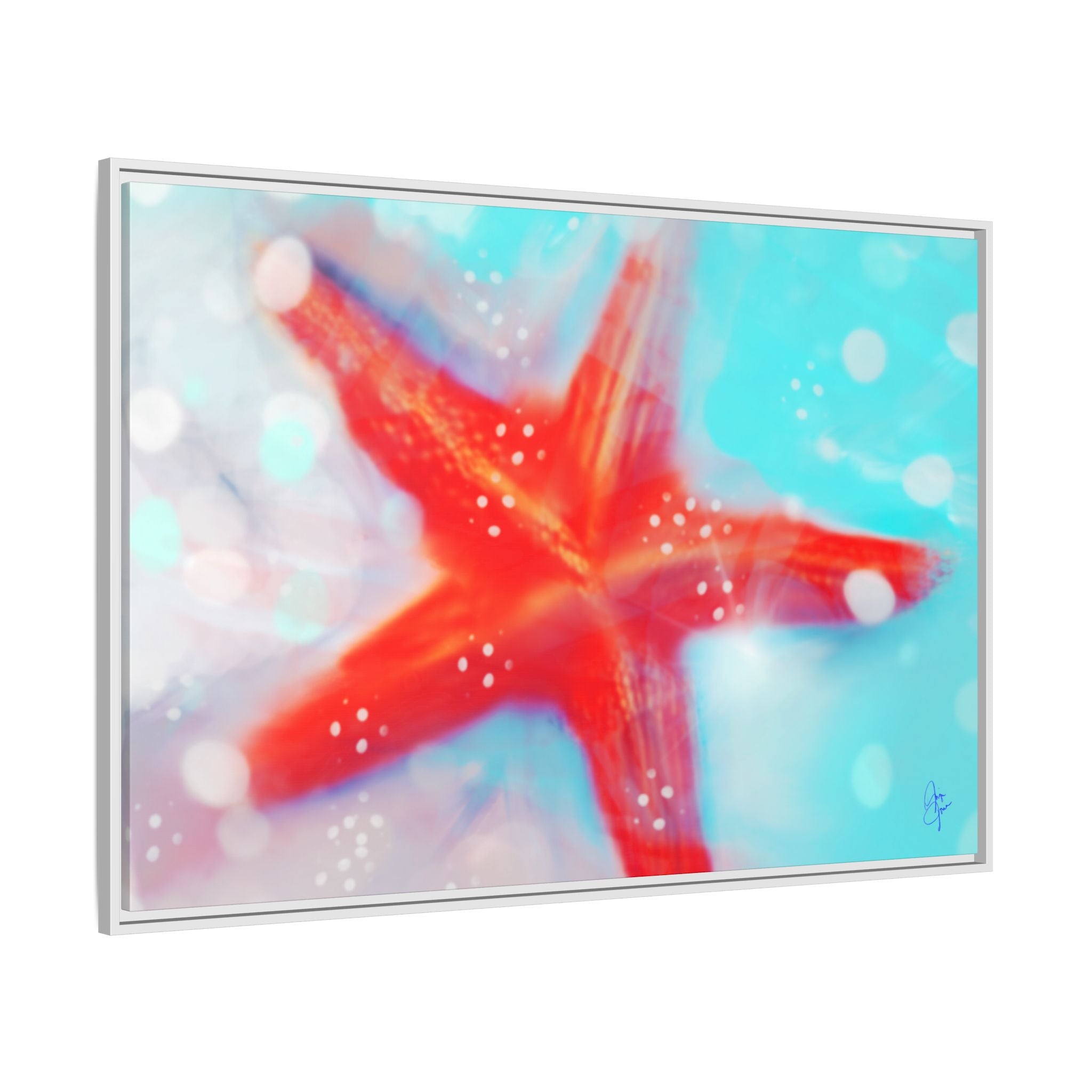 Starfish Life