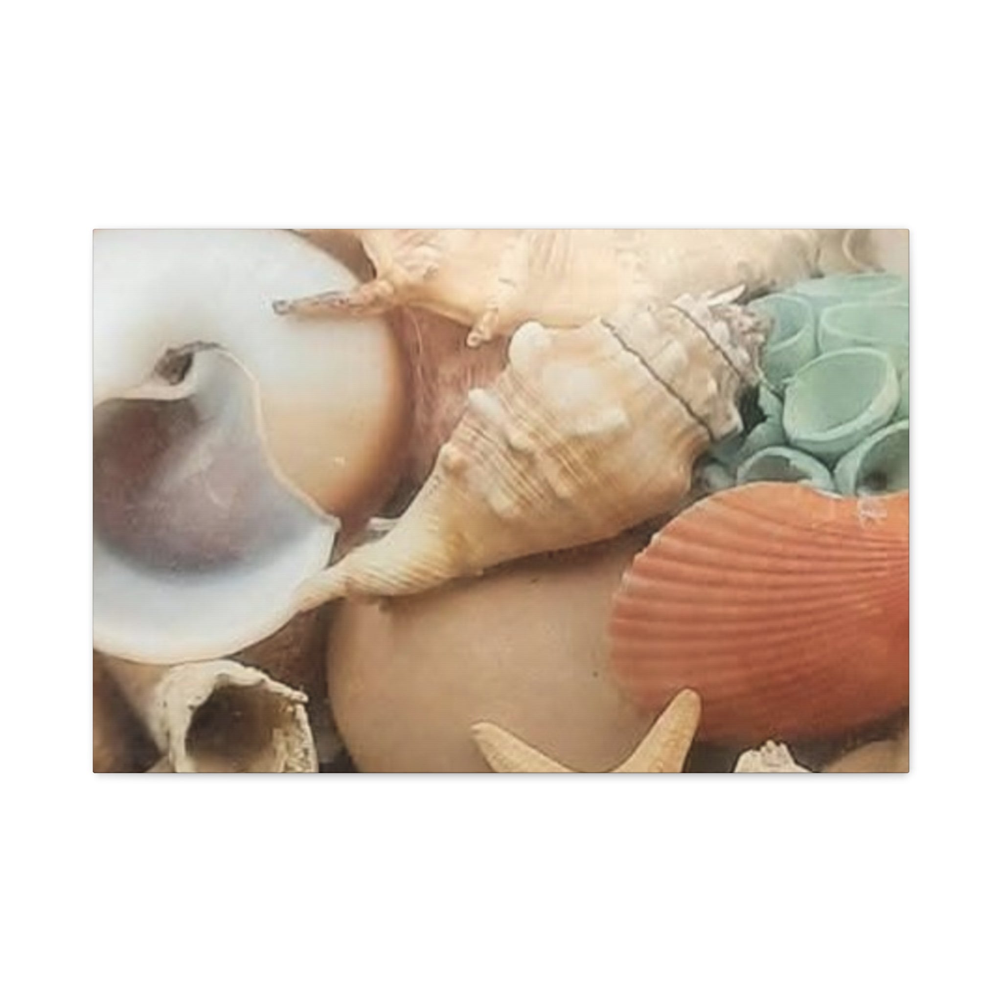Seashells Beach Canvas Wall Art – Matte Stretched 1.25"