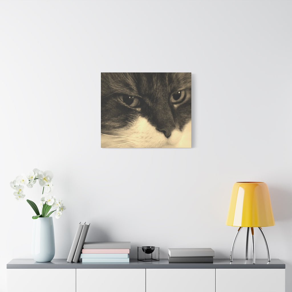 Cat Portrait Matte Canvas Wall Art