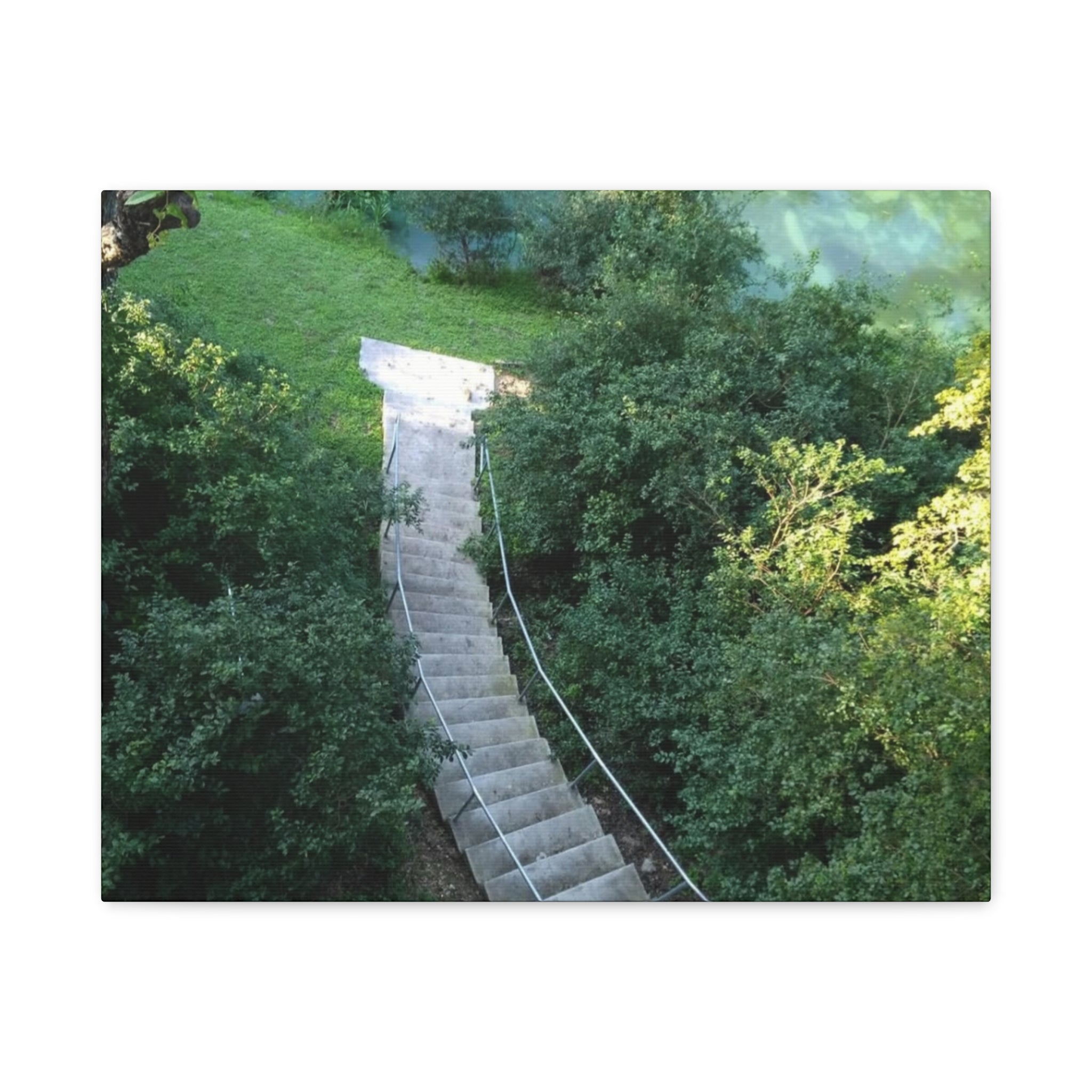 Canvas Wall Art - Forest Stairway Matte Stretched Canvas (1.25")